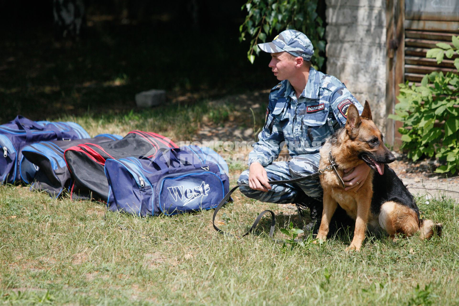 Кинолог и собака рядом с сумками в которых предположительно находятся наркотики