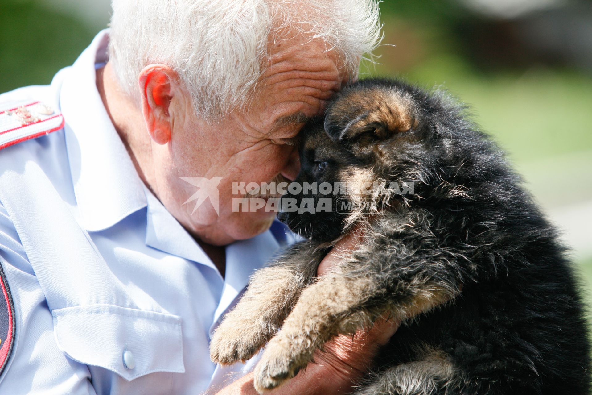 Полицейский-кинолог держит на руках щенка овчарки