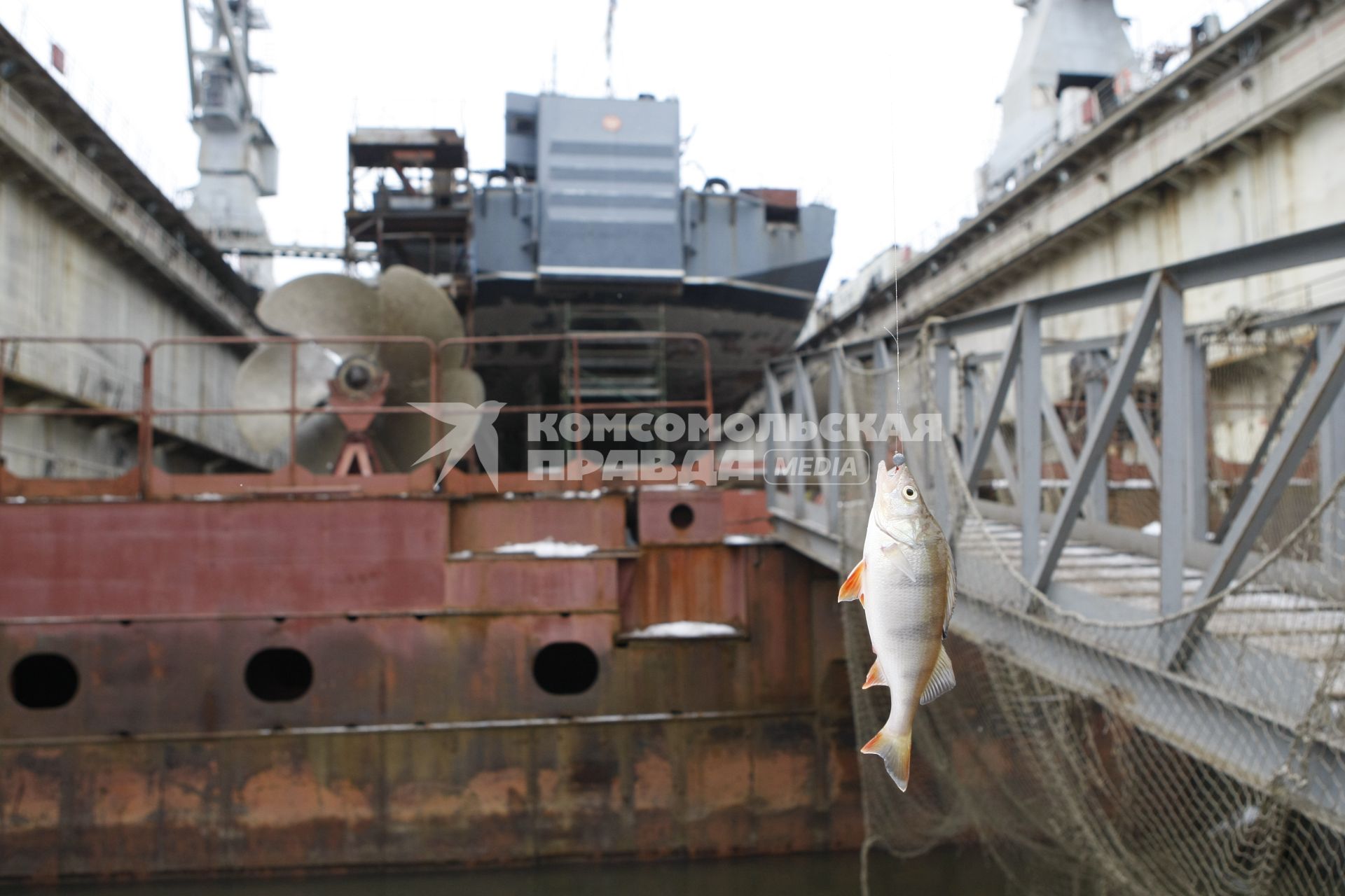 Сторожевой корабль `Неустрашимый` Балтийского флота Западного Военного Округа ВМФ РФ на ремонте.