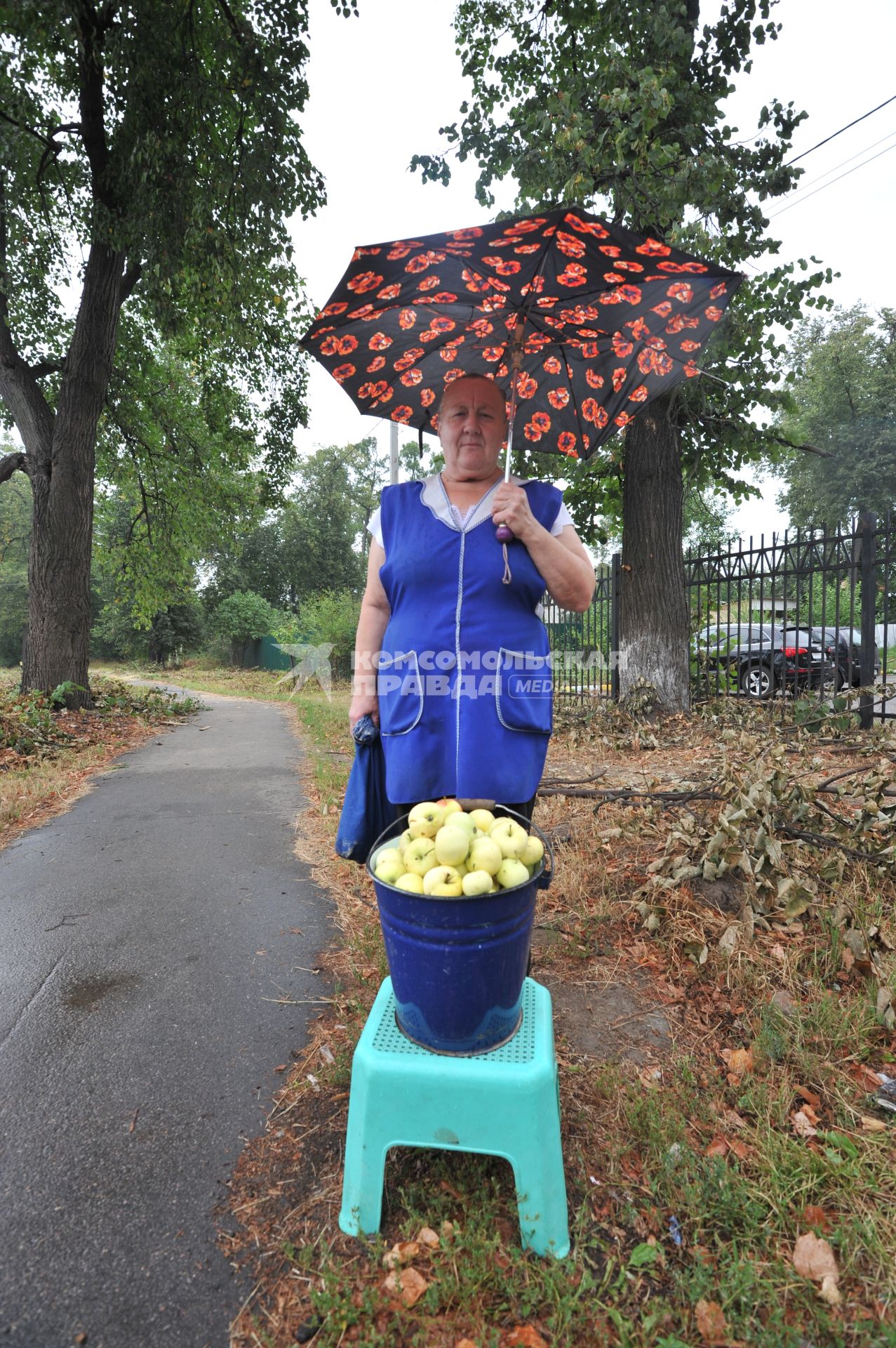 Женщина стоит вдоль дороги и продает яблоки.