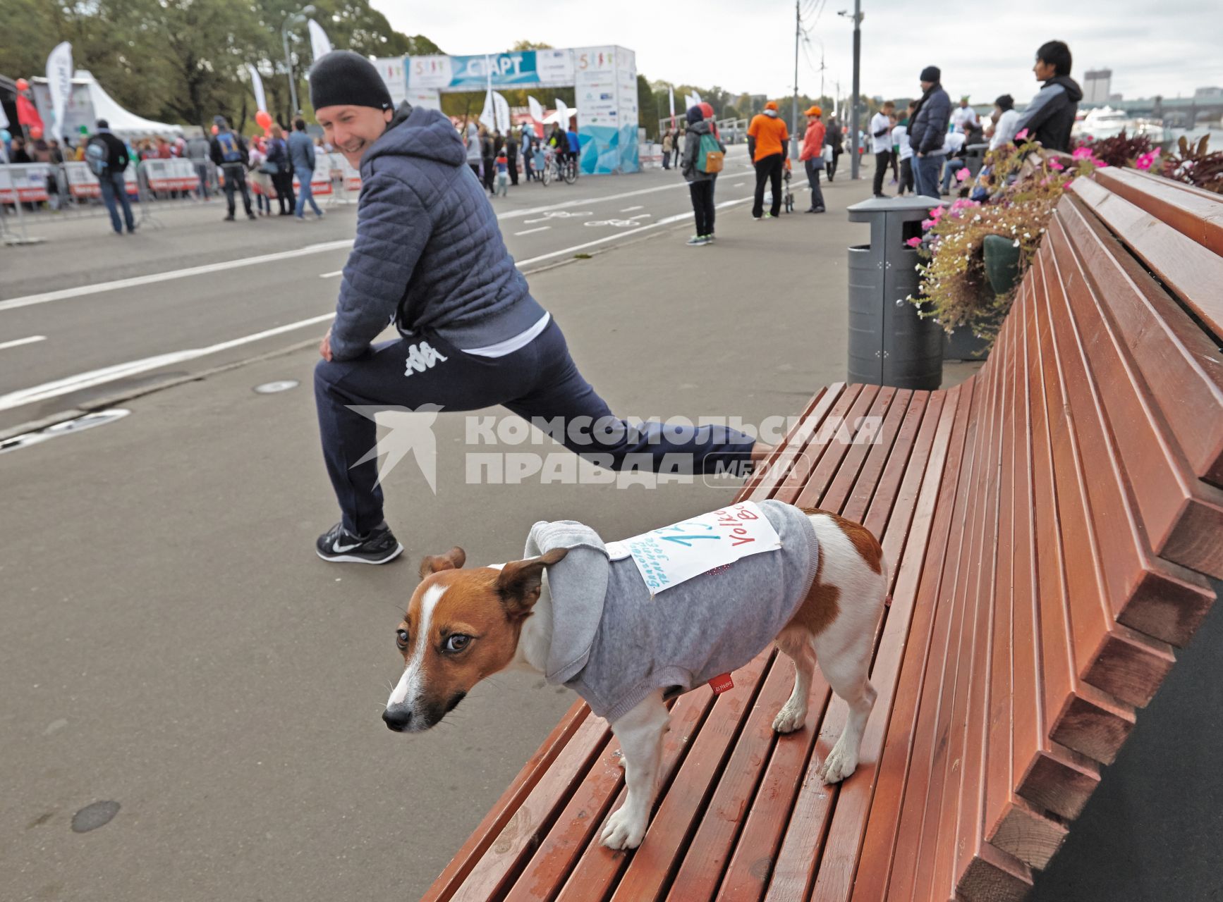 Собака на скамейке в парке Горького во время благотворительного забега.