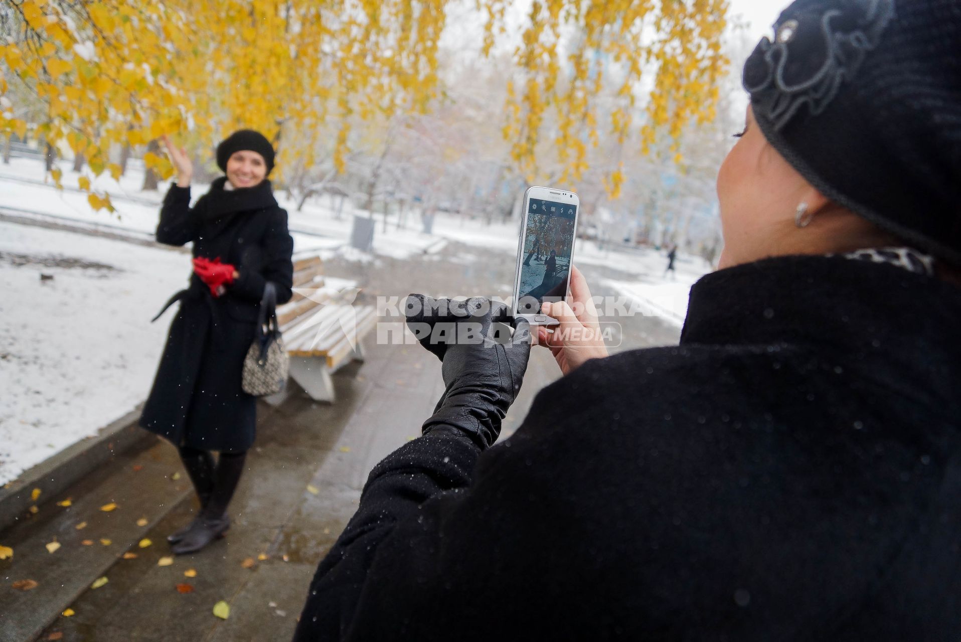 Женщины фотографируются на телефон с  желтыми листьями на дереве