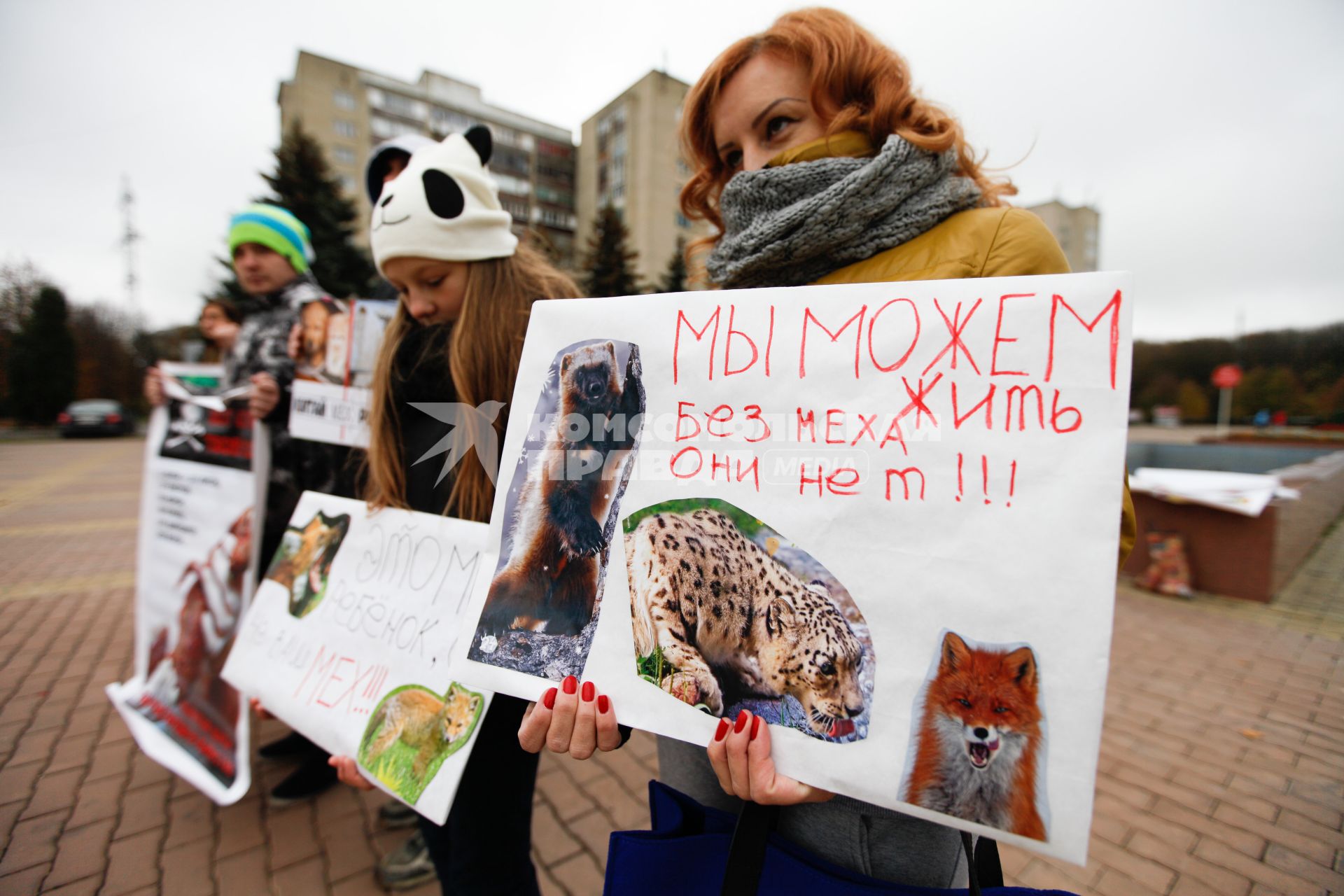 Акция `Антимеховой марш` в Ставрополе.