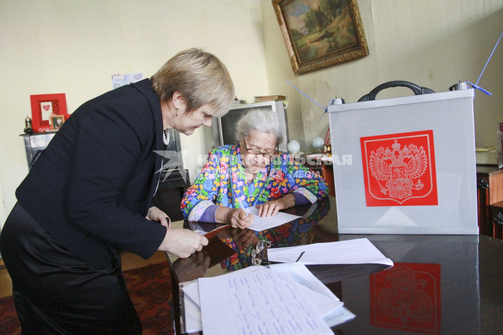 Выбору на дому. Пенсионер голосует.