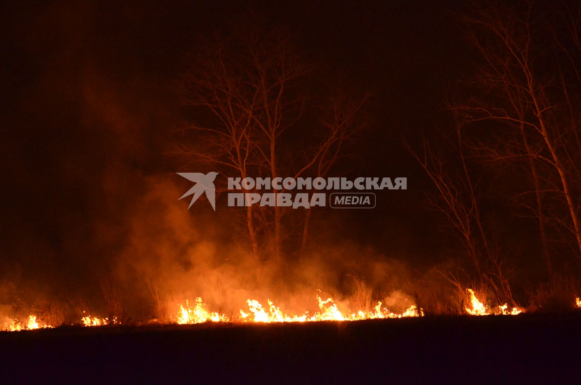 Весенние палы травы в Новосибирской области