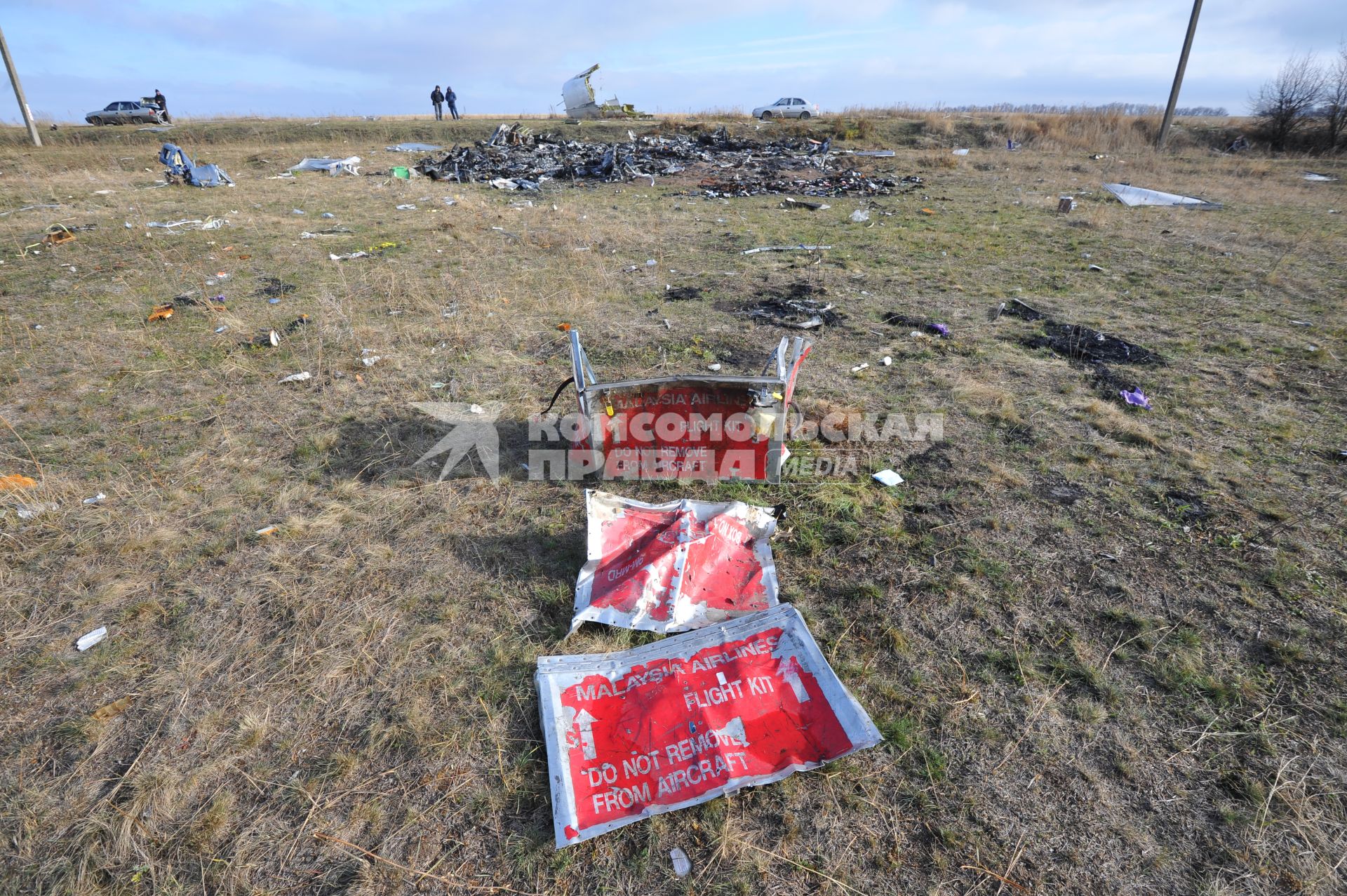 Место крушения малайзийского самолета Boeing, выполнявшего рейс MH17 Амстердам — Куала-Лумпур. На снимке: обломки самолета.