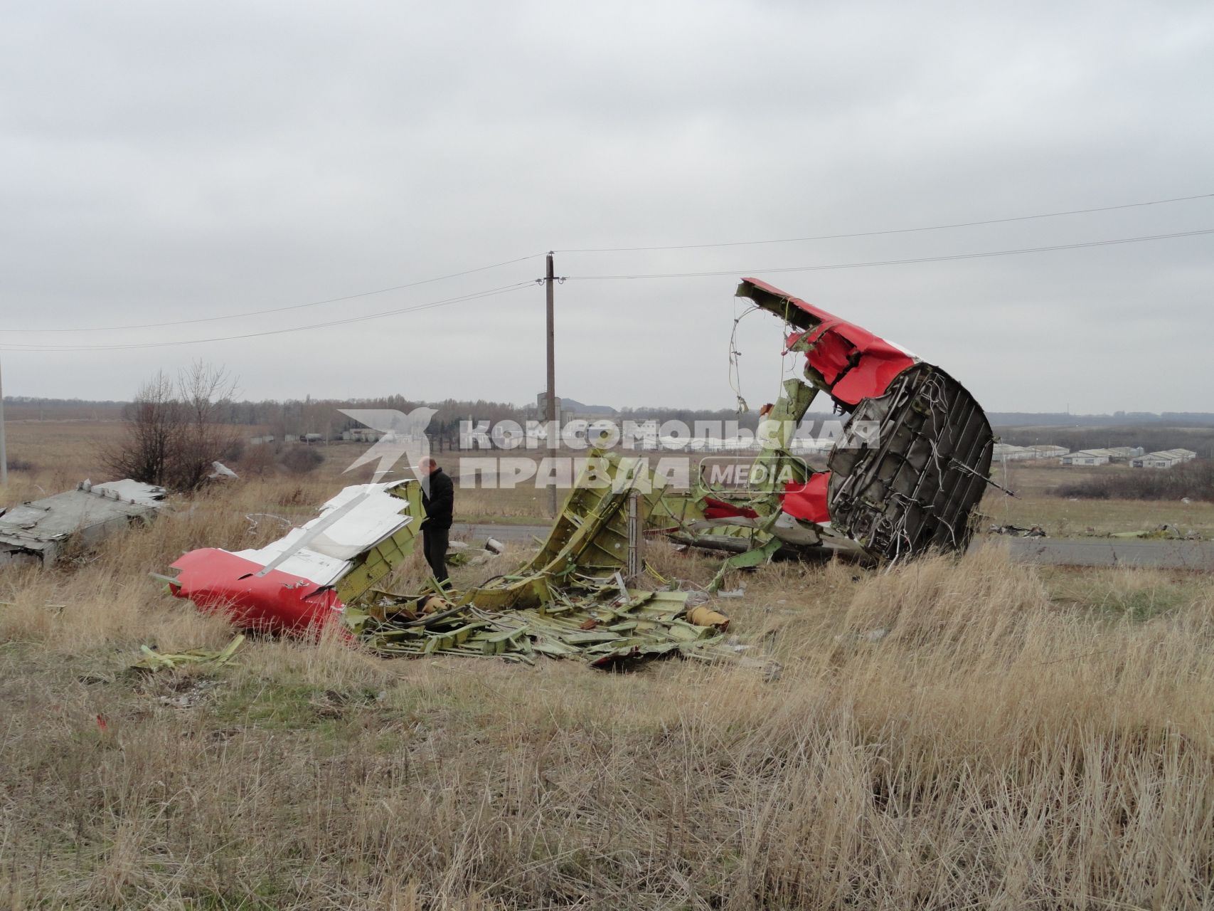 Место крушения малайзийского самолета Boeing, выполнявшего рейс MH17 Амстердам - Куала-Лумпур. На снимке: обломки самолета.