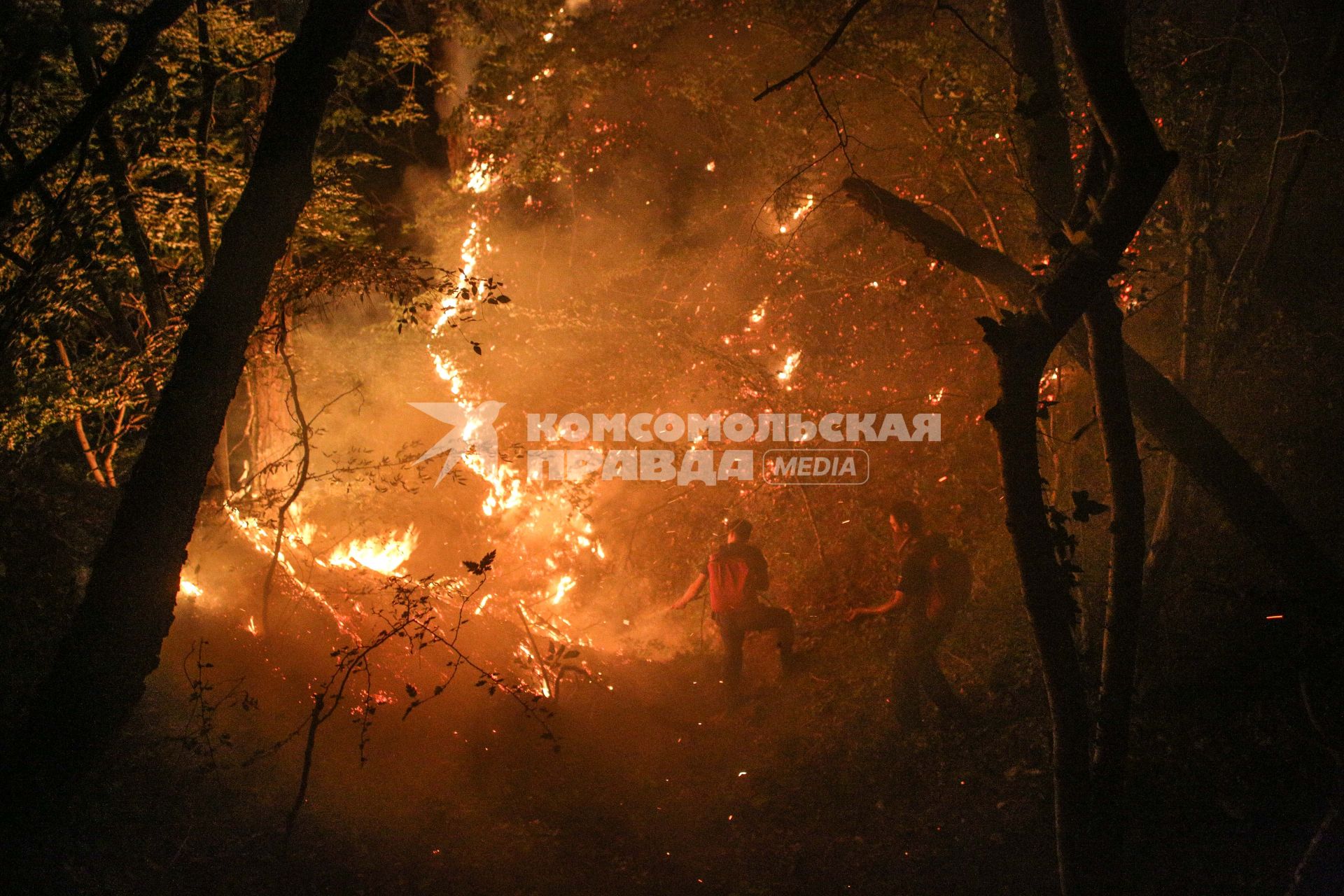 Пожарные борятся с лесным пожаром вблизи поселка Джанхот