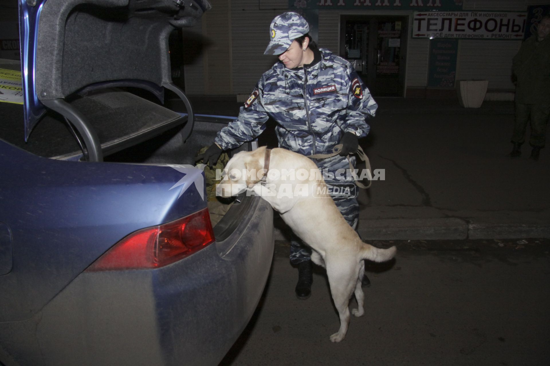 Кинолог с собакои?? проверяет багажник авто на наличие наркотиков.