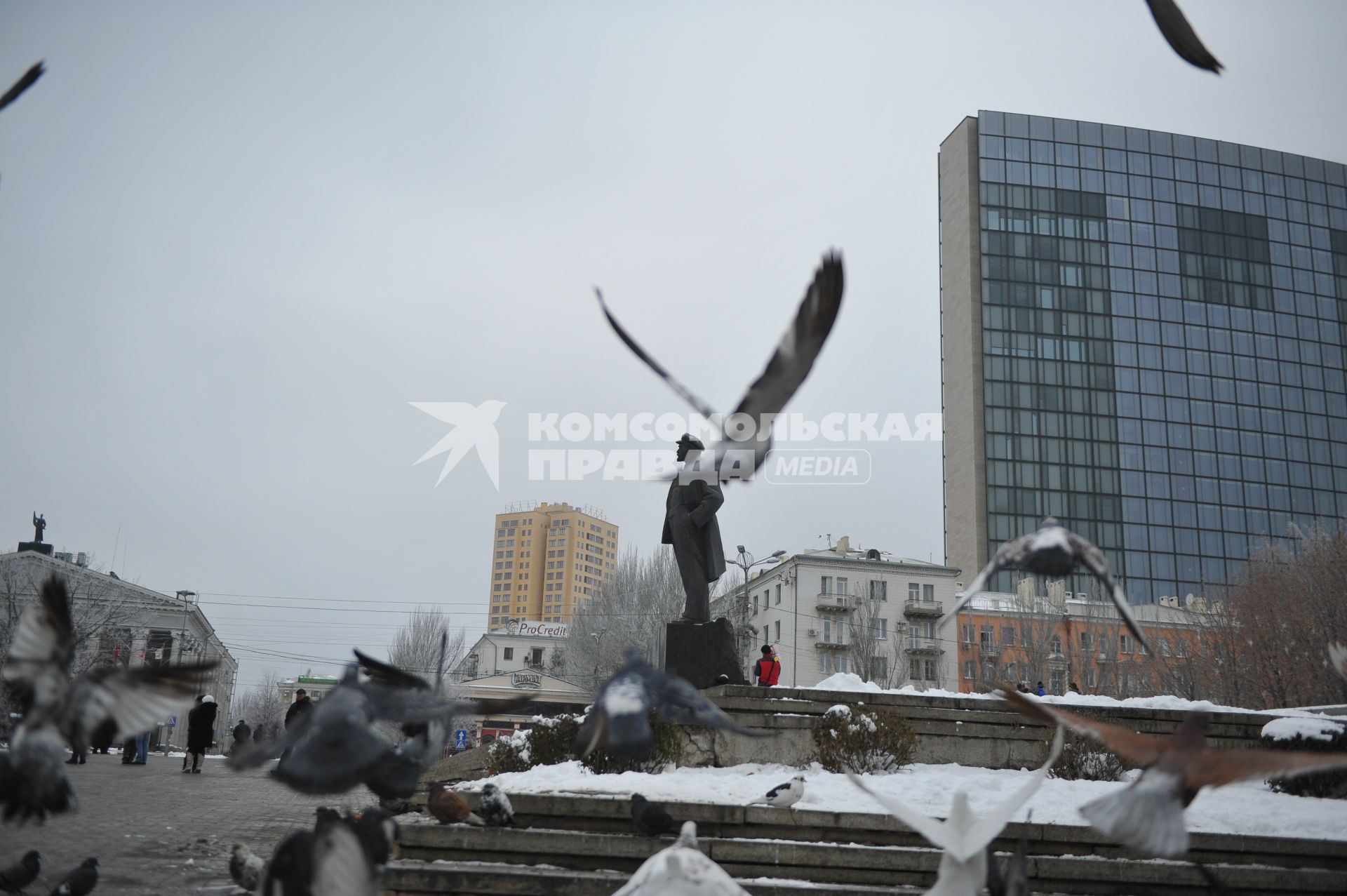 Донецк. Площадь Ленина. Голуби.