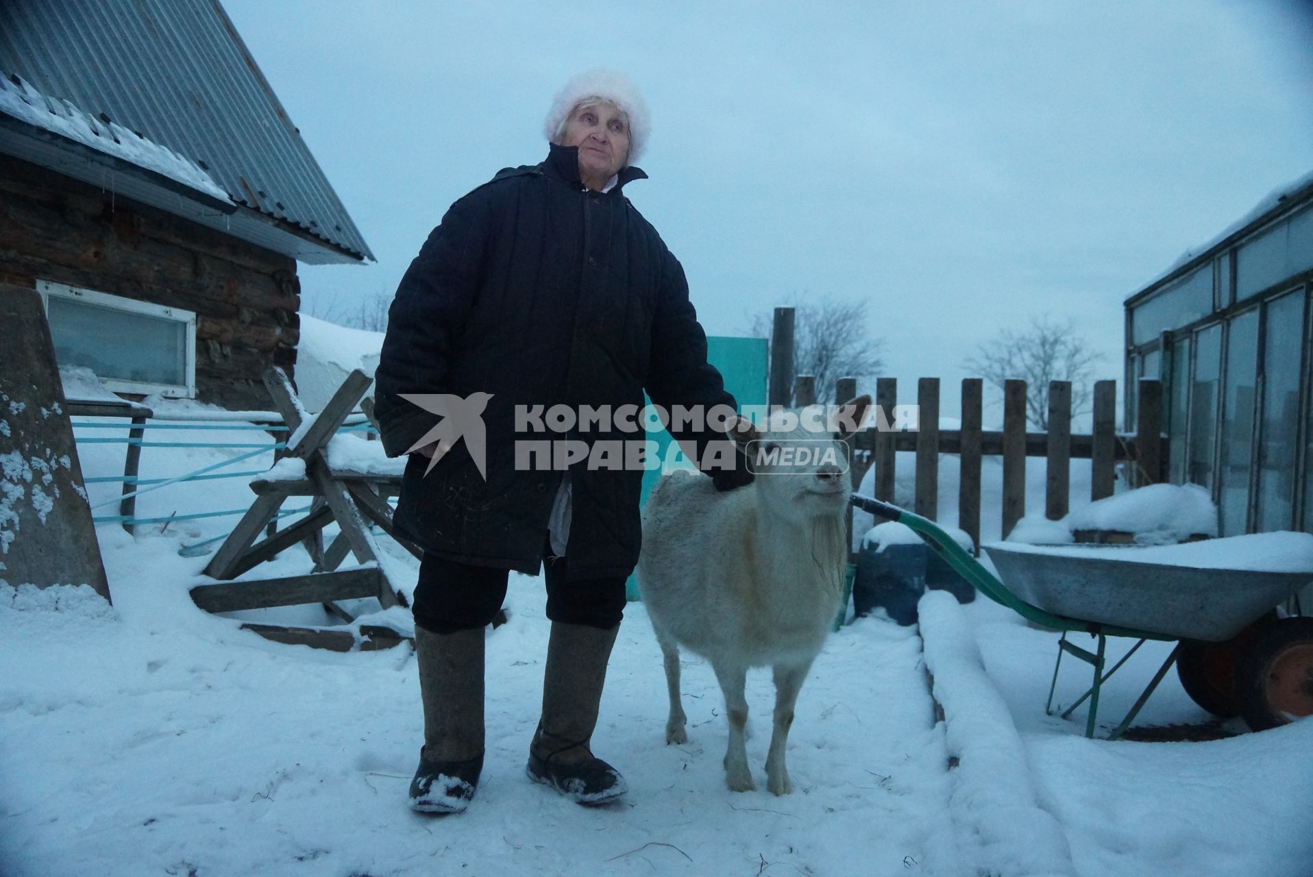 83-летняя пенсионерка Маргарита Балакина из Екатеринбурга, нашла свою козу Зайку, которая сбежала несколько дней назад