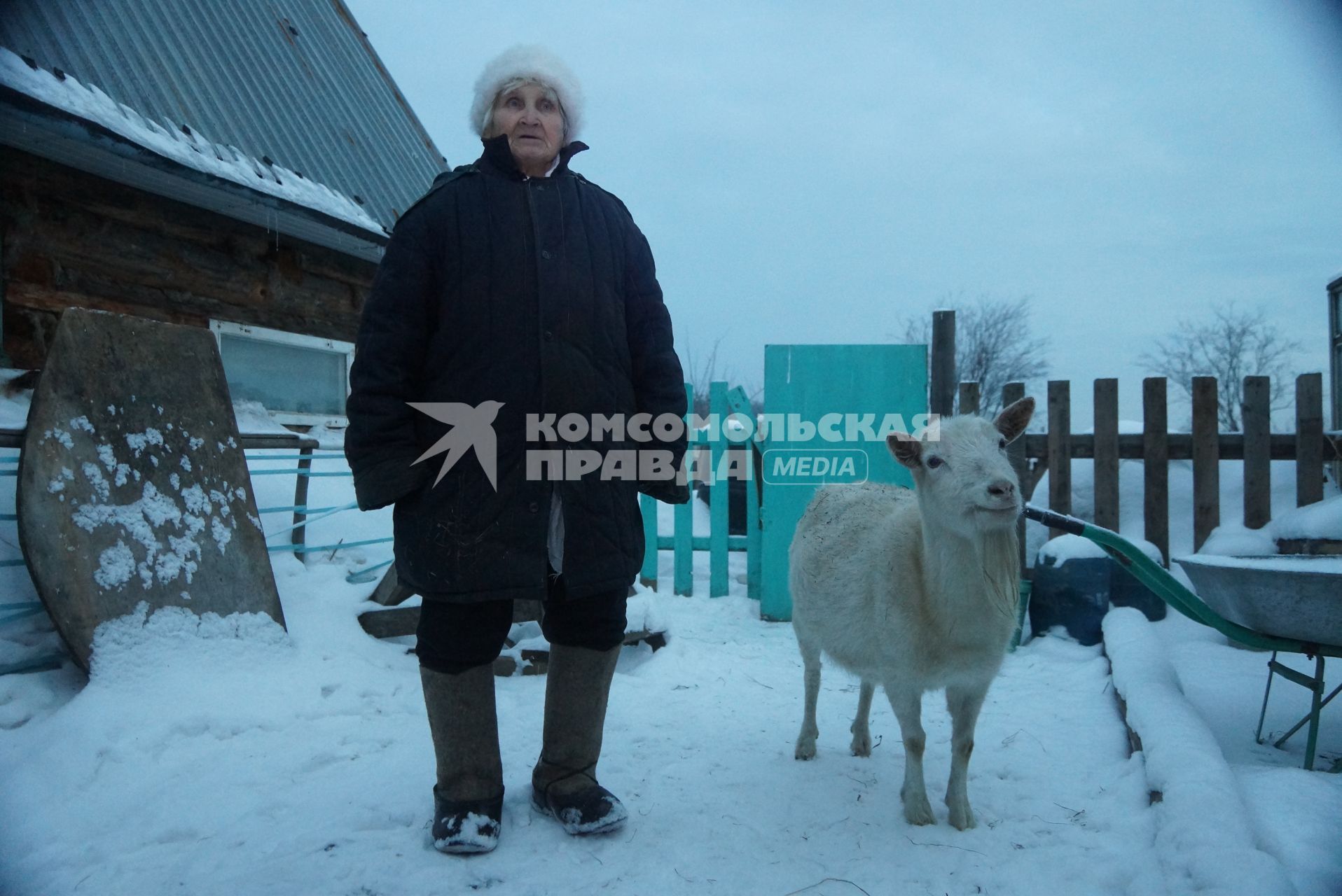 83-летняя пенсионерка Маргарита Балакина из Екатеринбурга, нашла свою козу Зайку, которая сбежала несколько дней назад