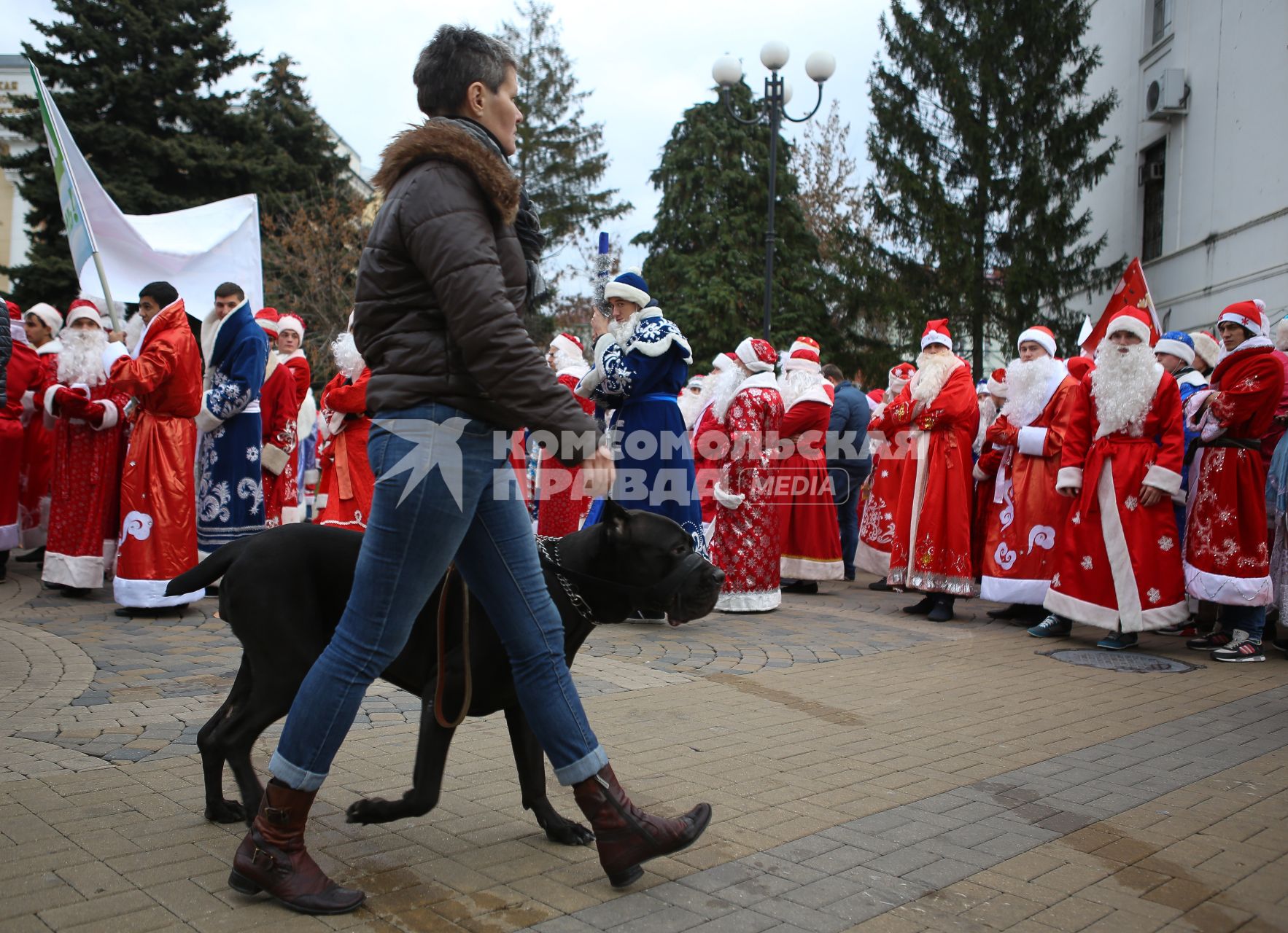 Женщина с собакой идет по площади Пушкина Краснодара, где проходит парад Дедов Морозов