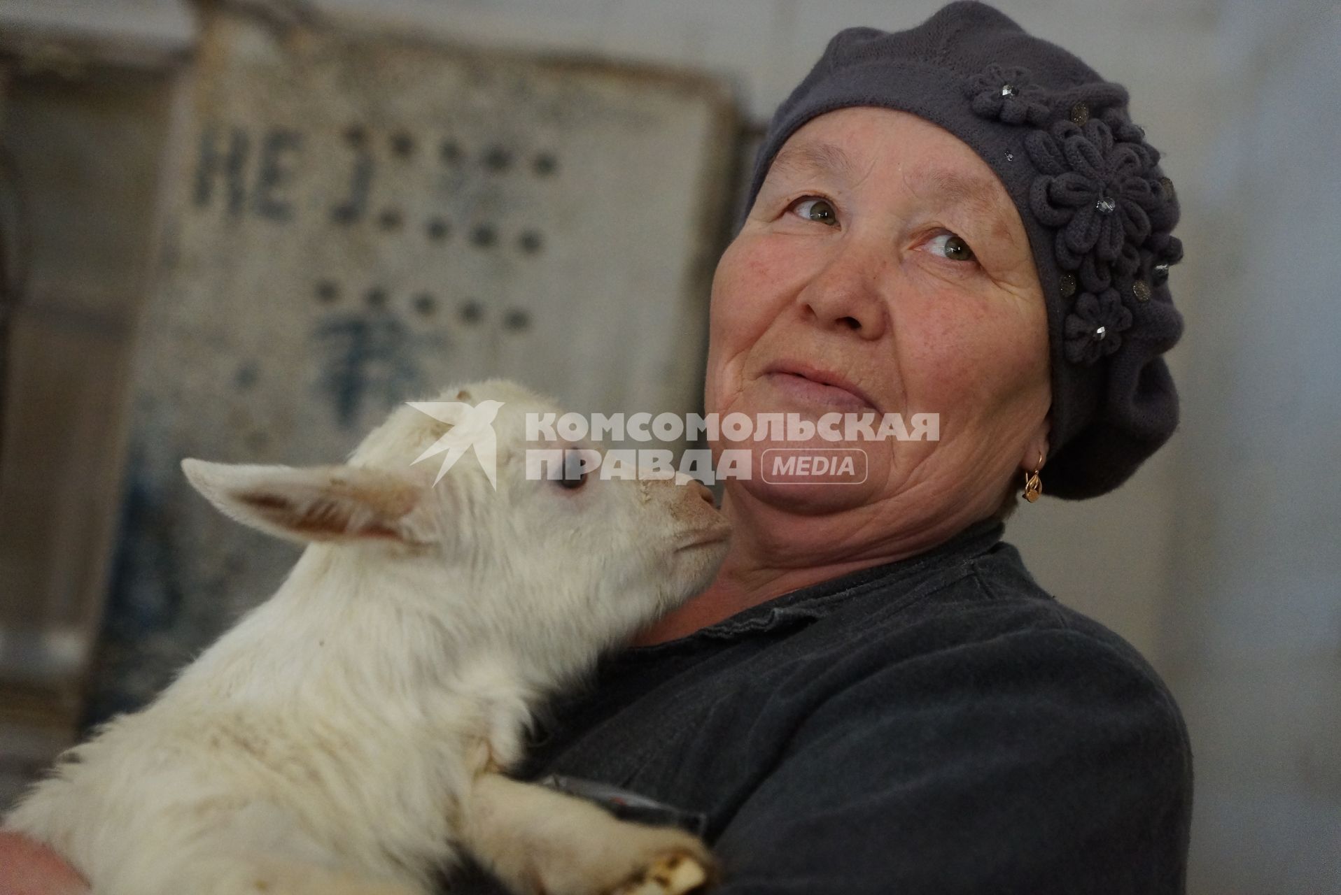 доярка держит на руках маленького козленка, на сельхозпредприятии по выращиванию коз и производству козьего молока – научно-производственный кооператив «Ачитский»