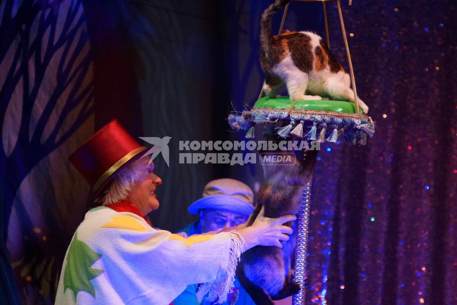 Клоун Юрий Куклачев во время выступления с кошками. Детский театр \"Щелкунчик\" в Екатеринбурге