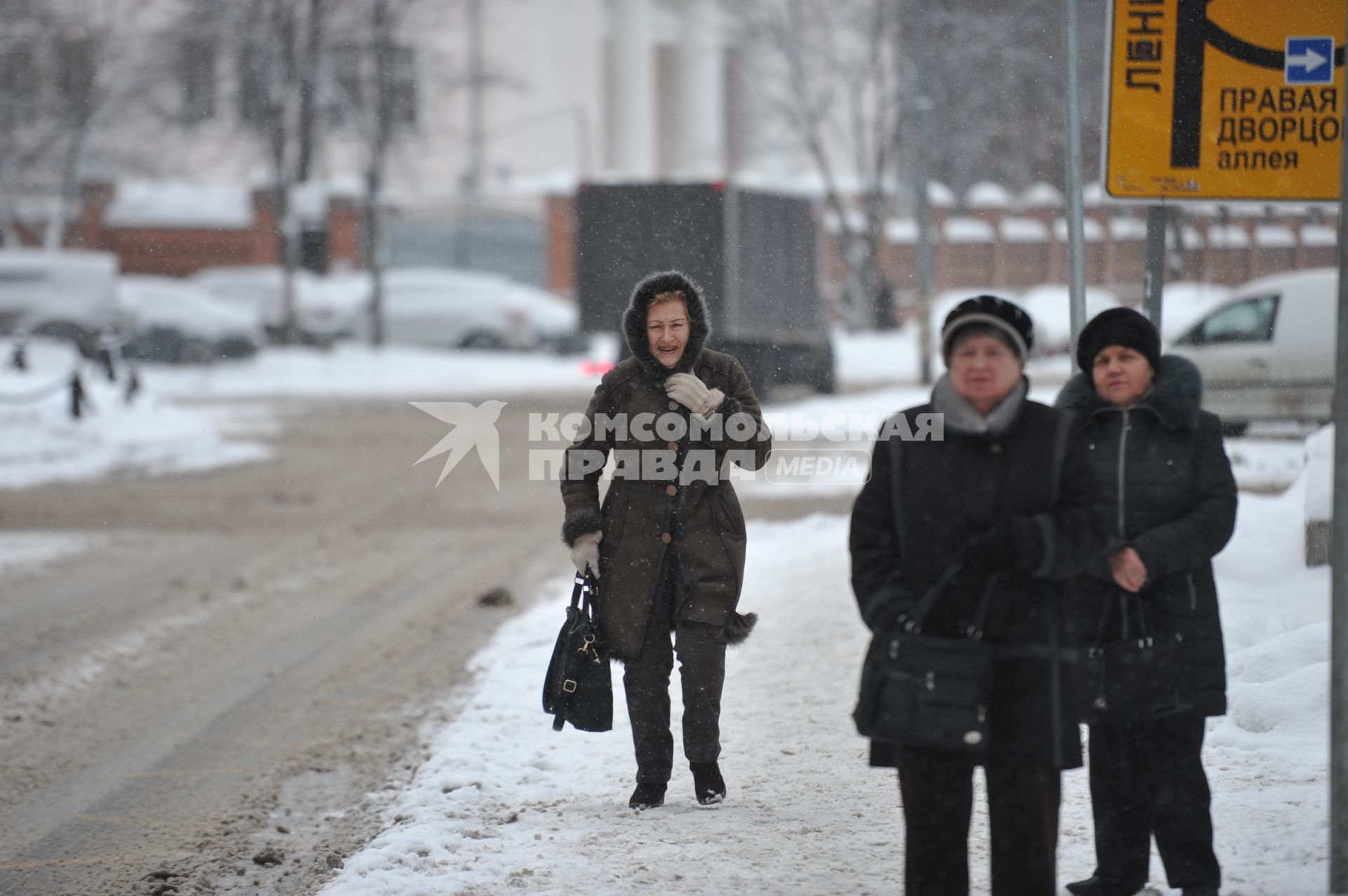 Снегопад в Москве. На снимке: женщина идет вдоль дороги.