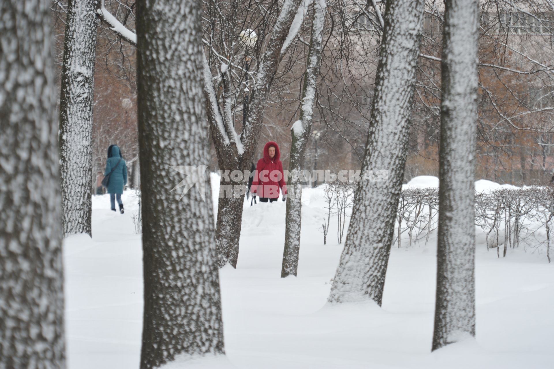 Последствия снегопада. На снимке: женщина идет по заснеженному парку.