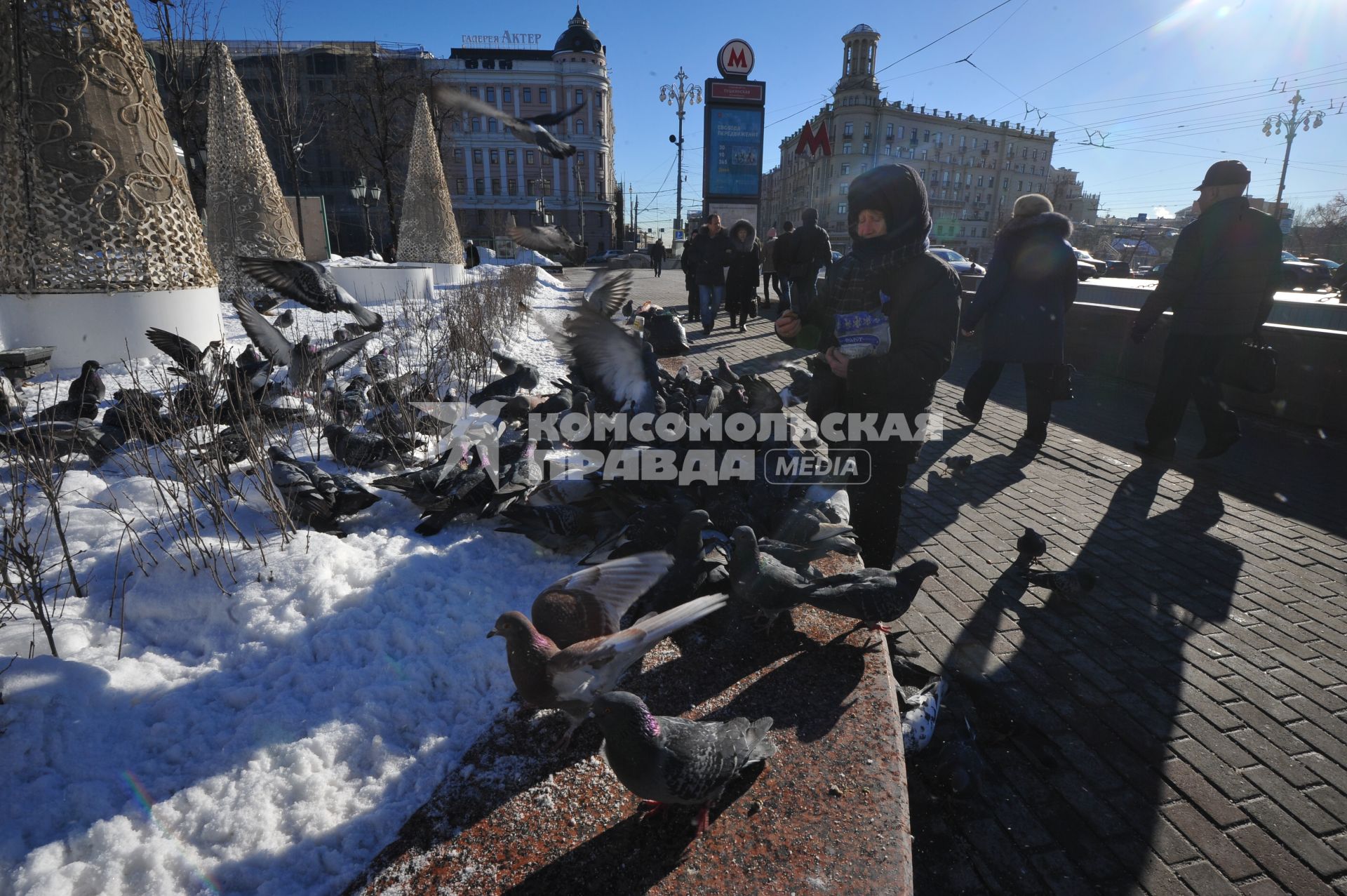 Женщина кормит голубей  у станции метро `Пушкинская`.