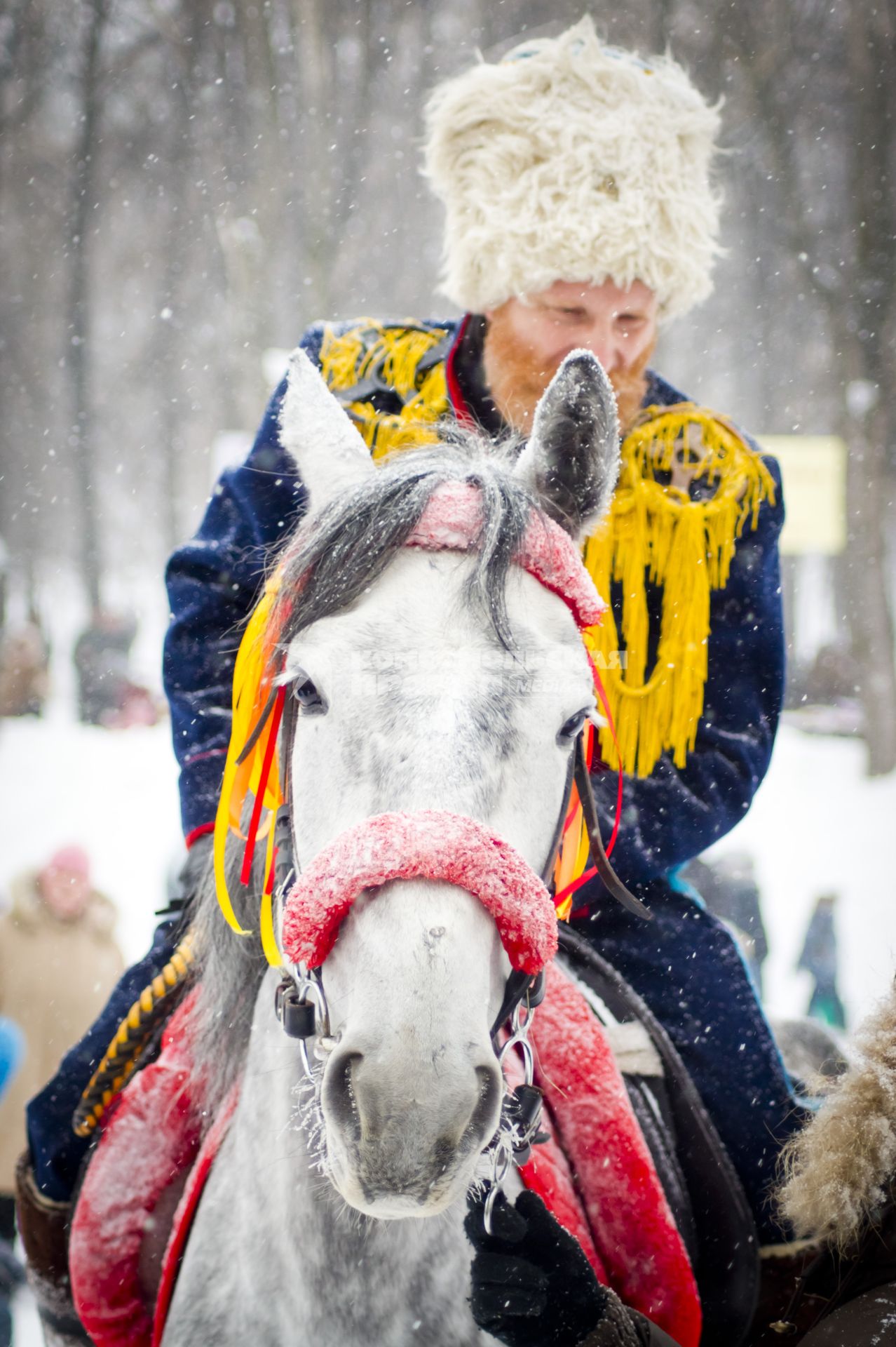 Казак сидит верхом на лошади, во время масленичных гуляний в Екатеринбурге