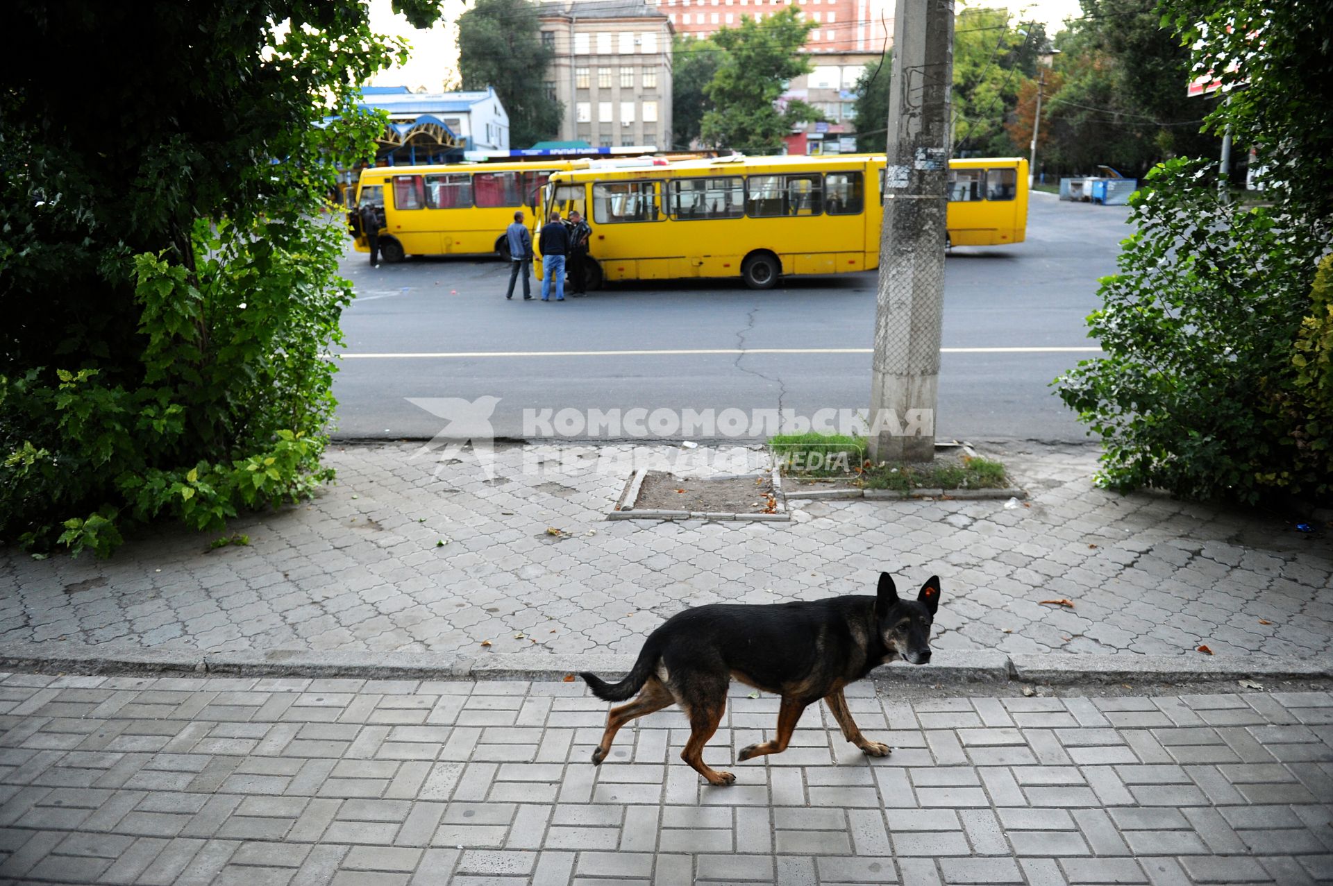 Украина. Донецк. Автовокзал.