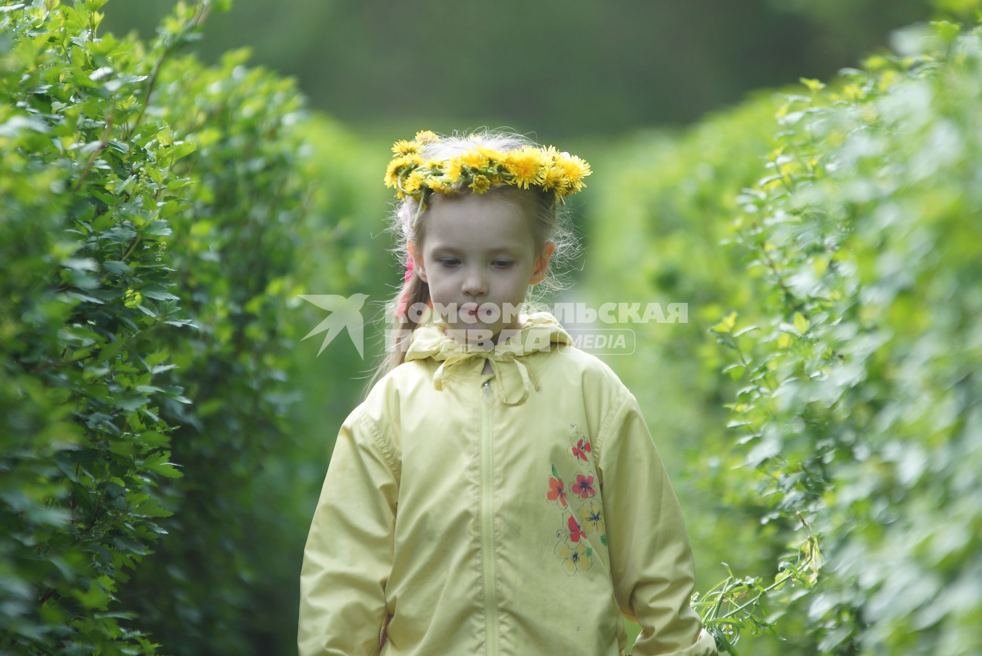 Маленькая девочка с цветочным венком на голове. Екатеринбург
