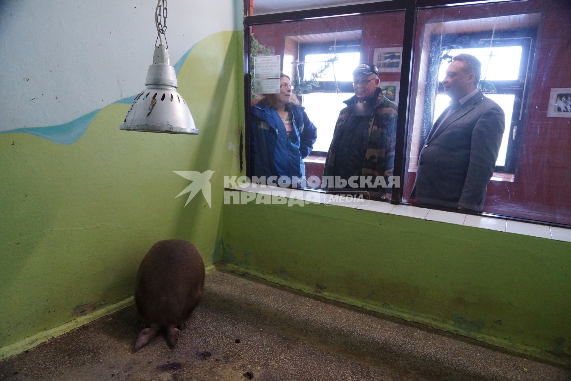 Детеныш трубкозуба по имени \"Баранка\" в вольере Екатеринбургского зоопарка, перед ее отправкой в зоопарк Ижевска