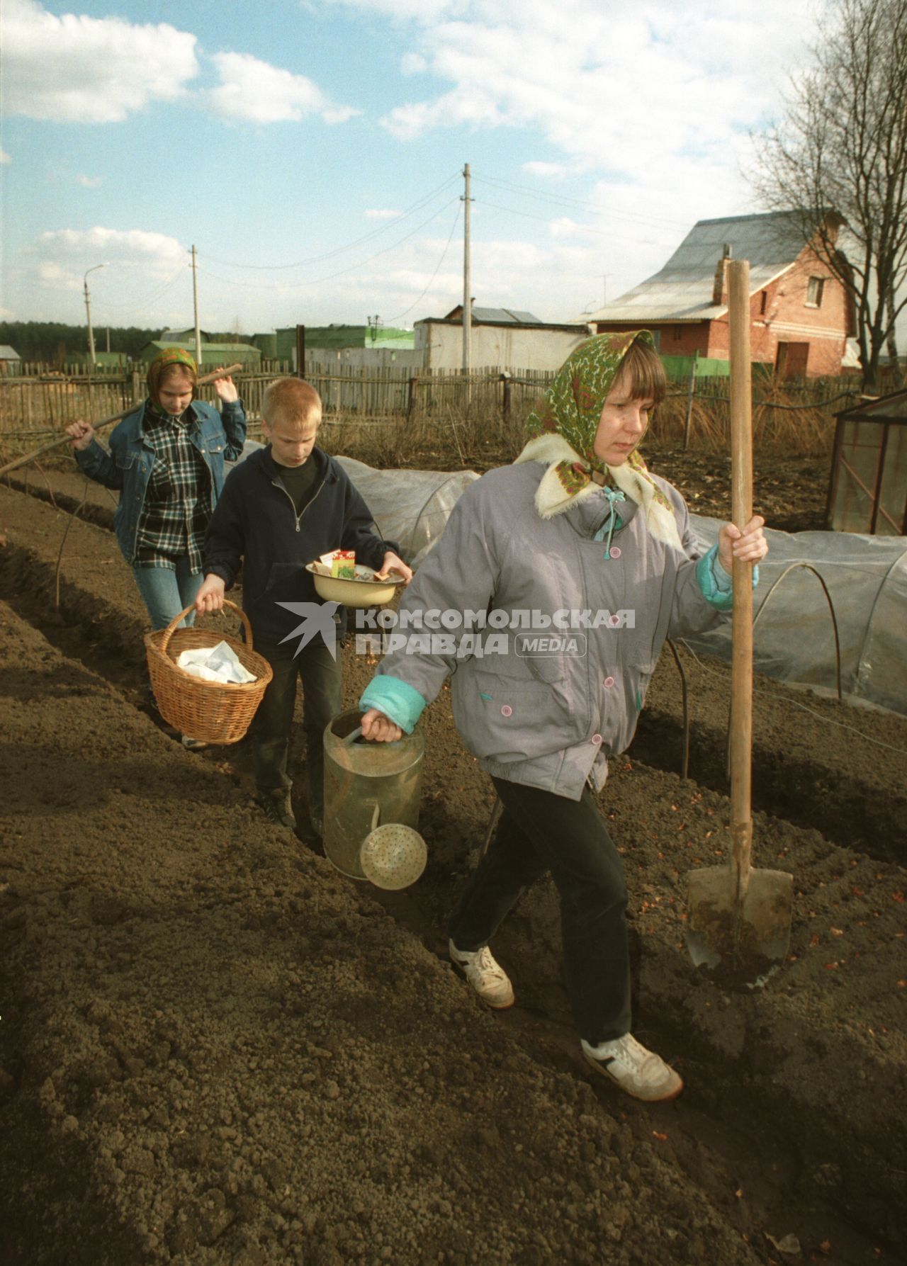 Подмосковье. Дачники сажают зелень.