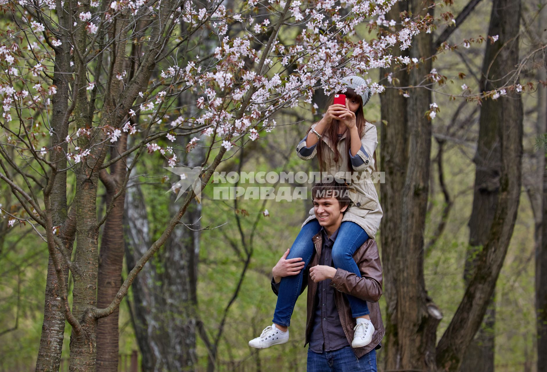 Москва. Девушка фотографирует на мобильный телефон цветущую вишню.