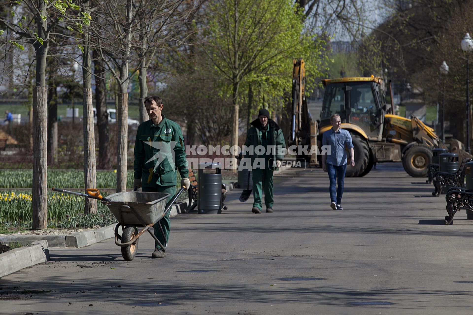 Москва. Центральный парк культуры и отдыха имени Горького. Работы по озеленению территории.