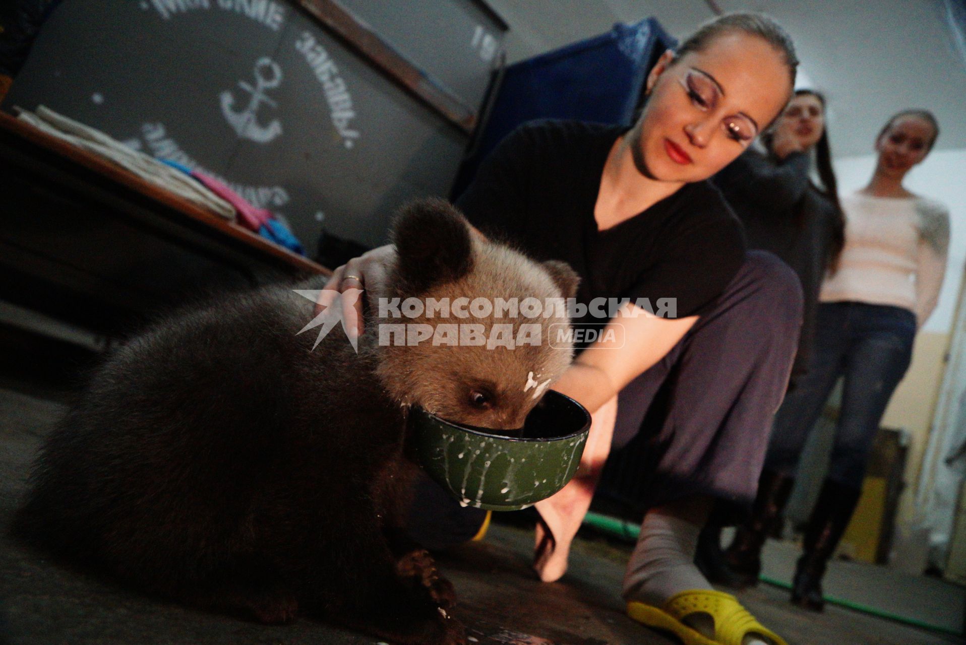 Цирковая артистка кормит одного из двух медвежат, переданных в Екатеринбургский цирк охотниками.