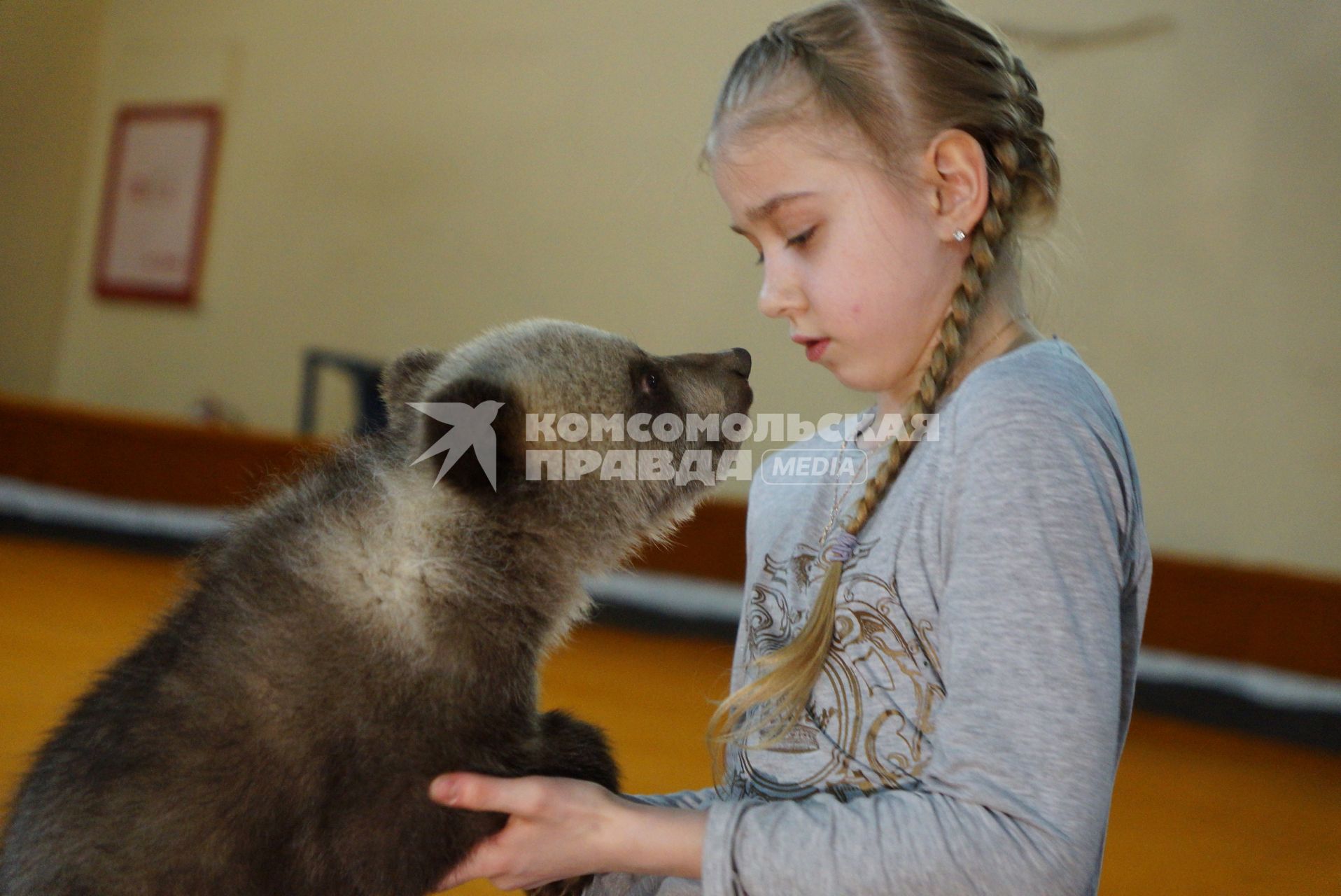 Цирковая артистка с одним из двух медвежат, найденных в лесу охотниками, на репетиционном манеже Екатеринбургского цирка.