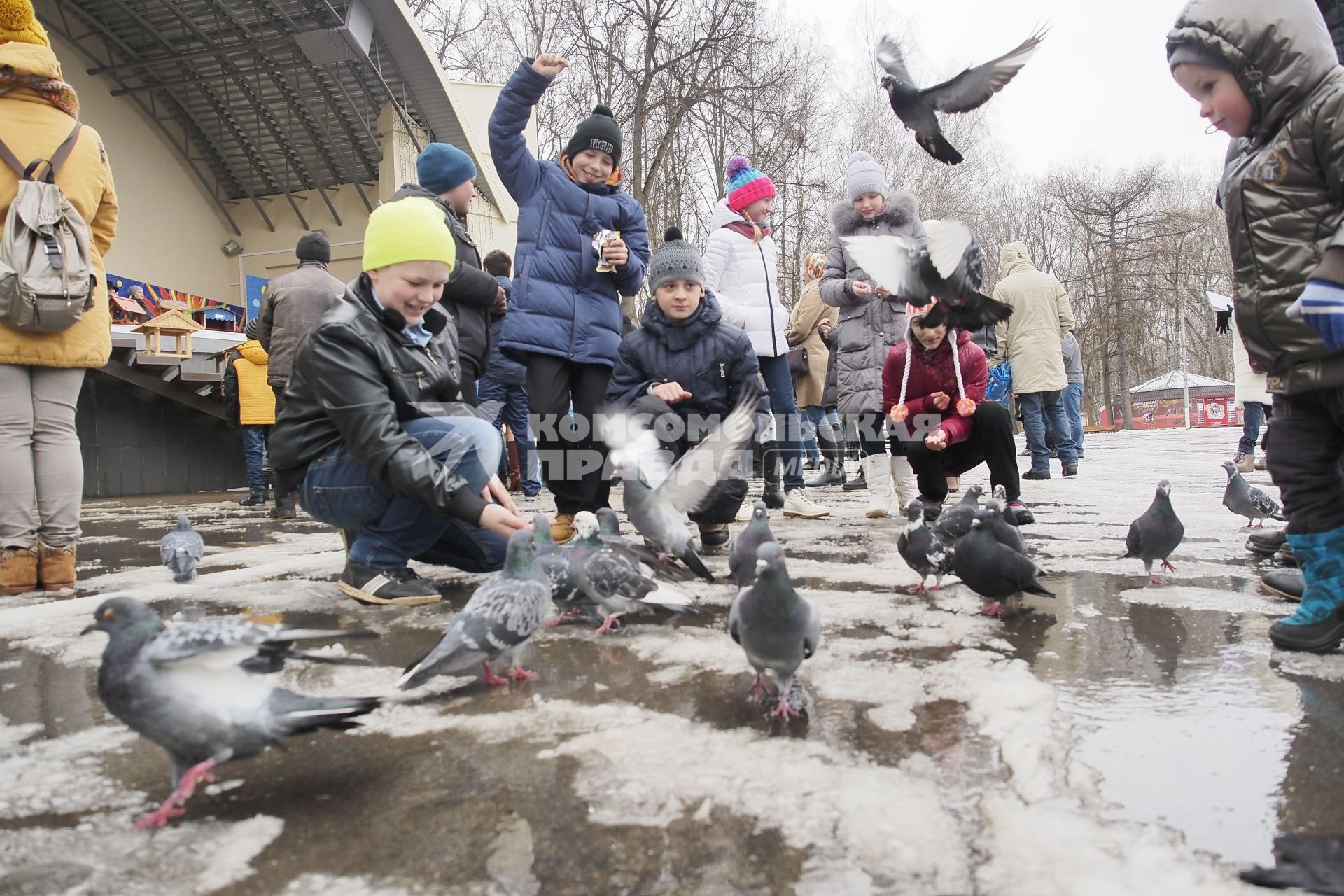 День птиц в Тульском Центральном парке. Дети кормят голубей.