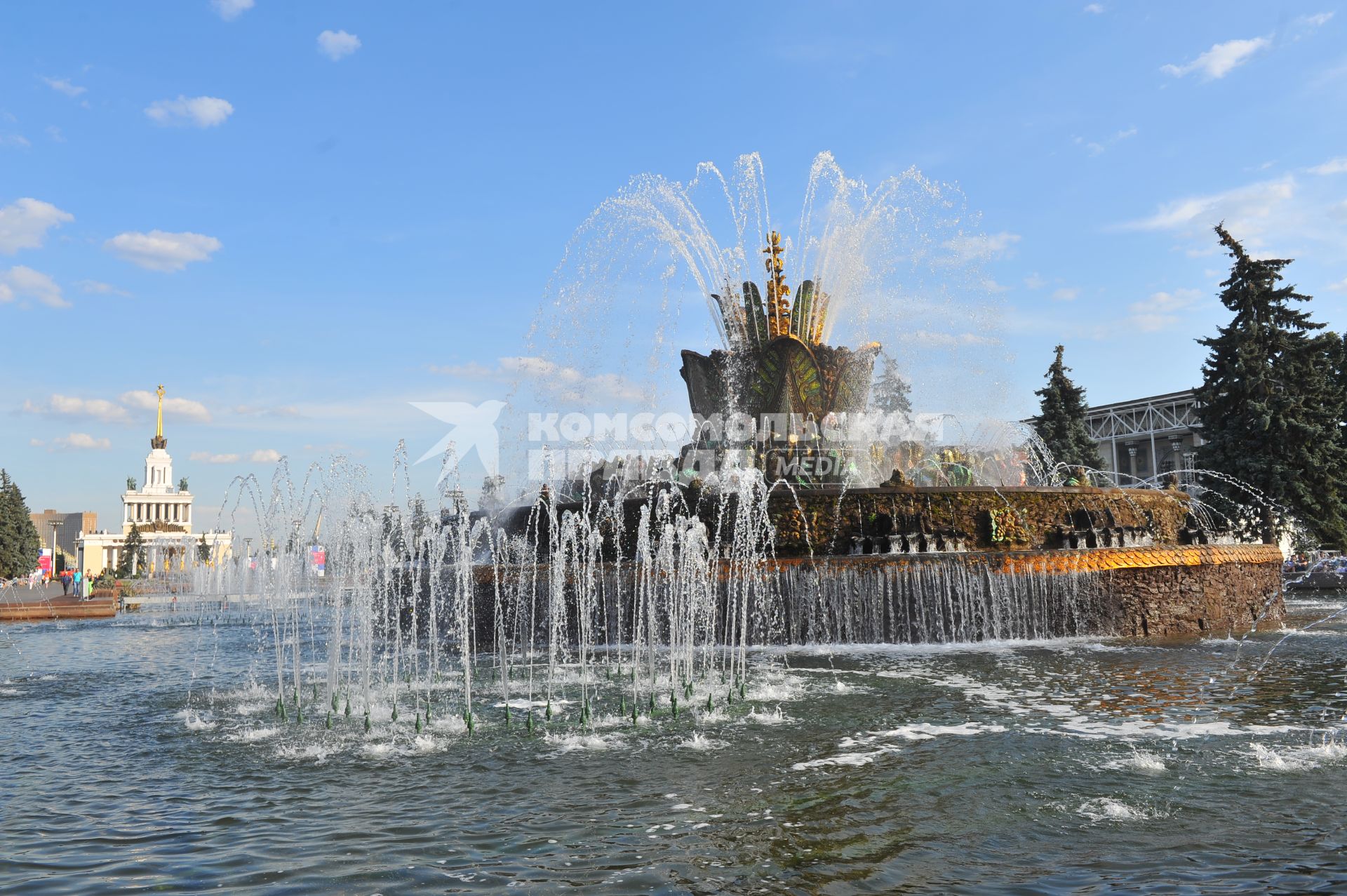 Москва. ВДНХ. Павильон # 1 `Центральный` и фонтан `Дружба народов СССР`.