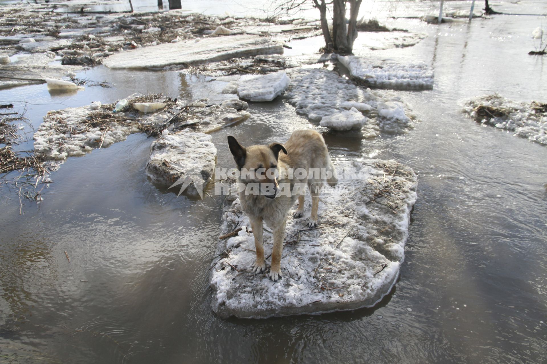 Алтайский край. Паводок в пригороде Барнаула. Река Барнаулка вышла из берегов и подтопила жилые дома.
