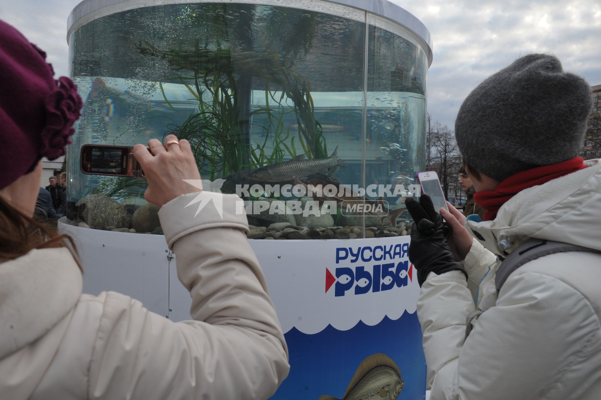 Прохожие рассматривают гигантский аквариум на Тверском бульваре, установленный в рамках фестиваля `Рыбная неделя` в Москве.