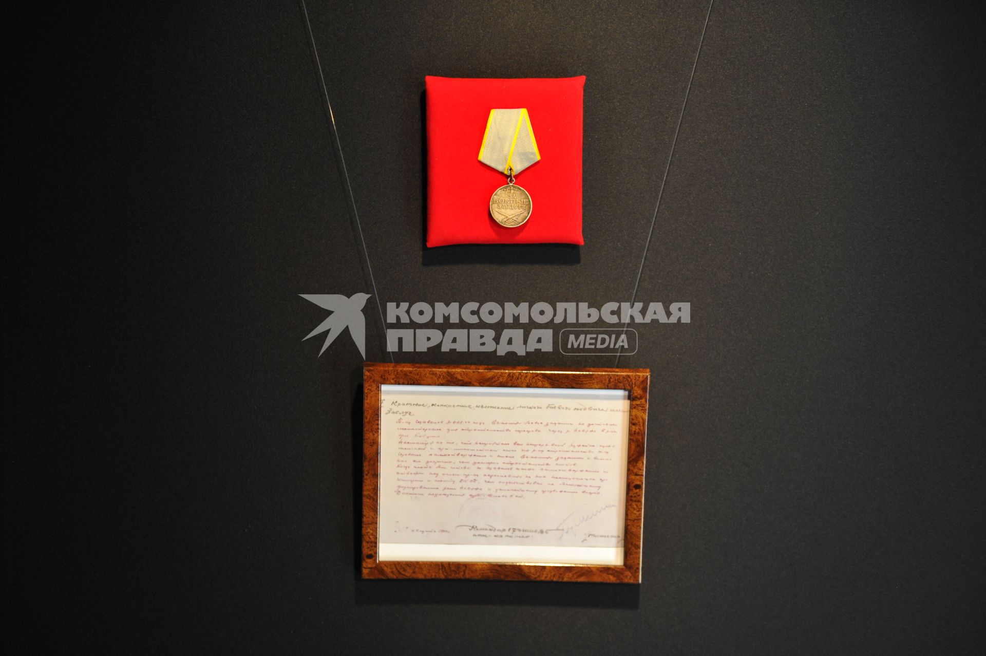 Медаль `За боевые заслуги`  на открытии архитектурно-художественной экспозиции `Поезд Победы` на Тверском бульваре в Москве.