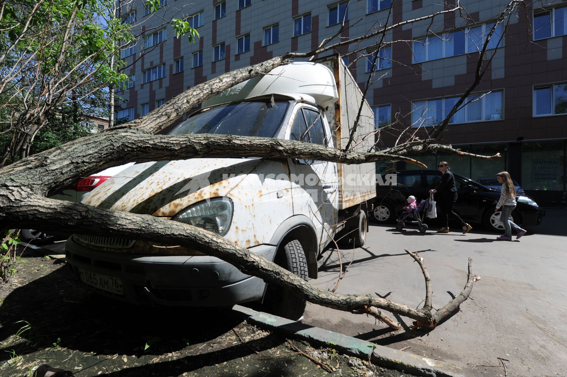 Москва, Старый Петровско-Разумовский проезд. Дерево упавшее на машину в результате штормового ветра.