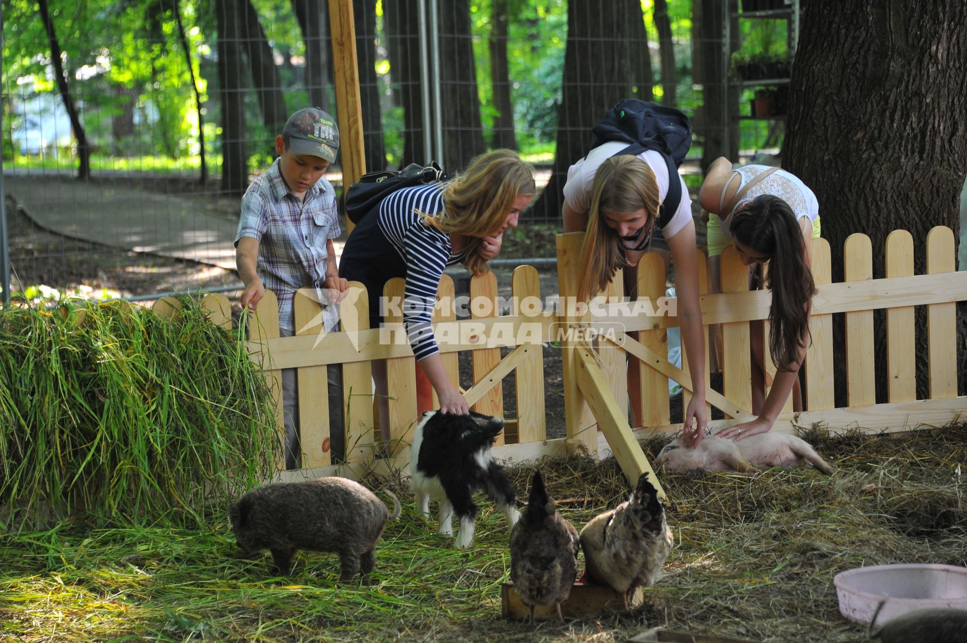 Москва. Московский международный фестиваль `Сады и люди` в парке `Сокольники`.