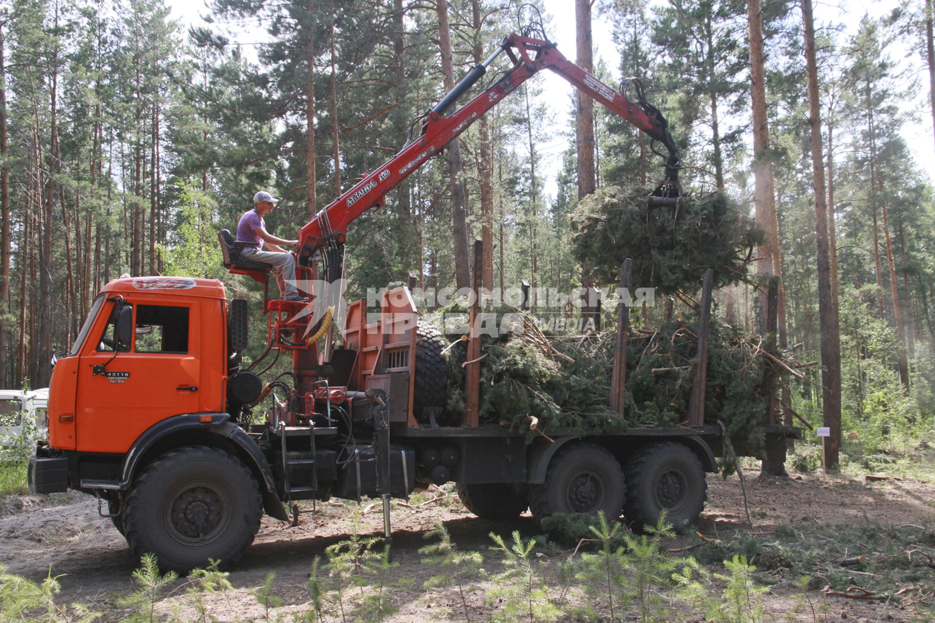 Алтайский край. Заготовка леса. Вывоз лесопорубочных остатков.