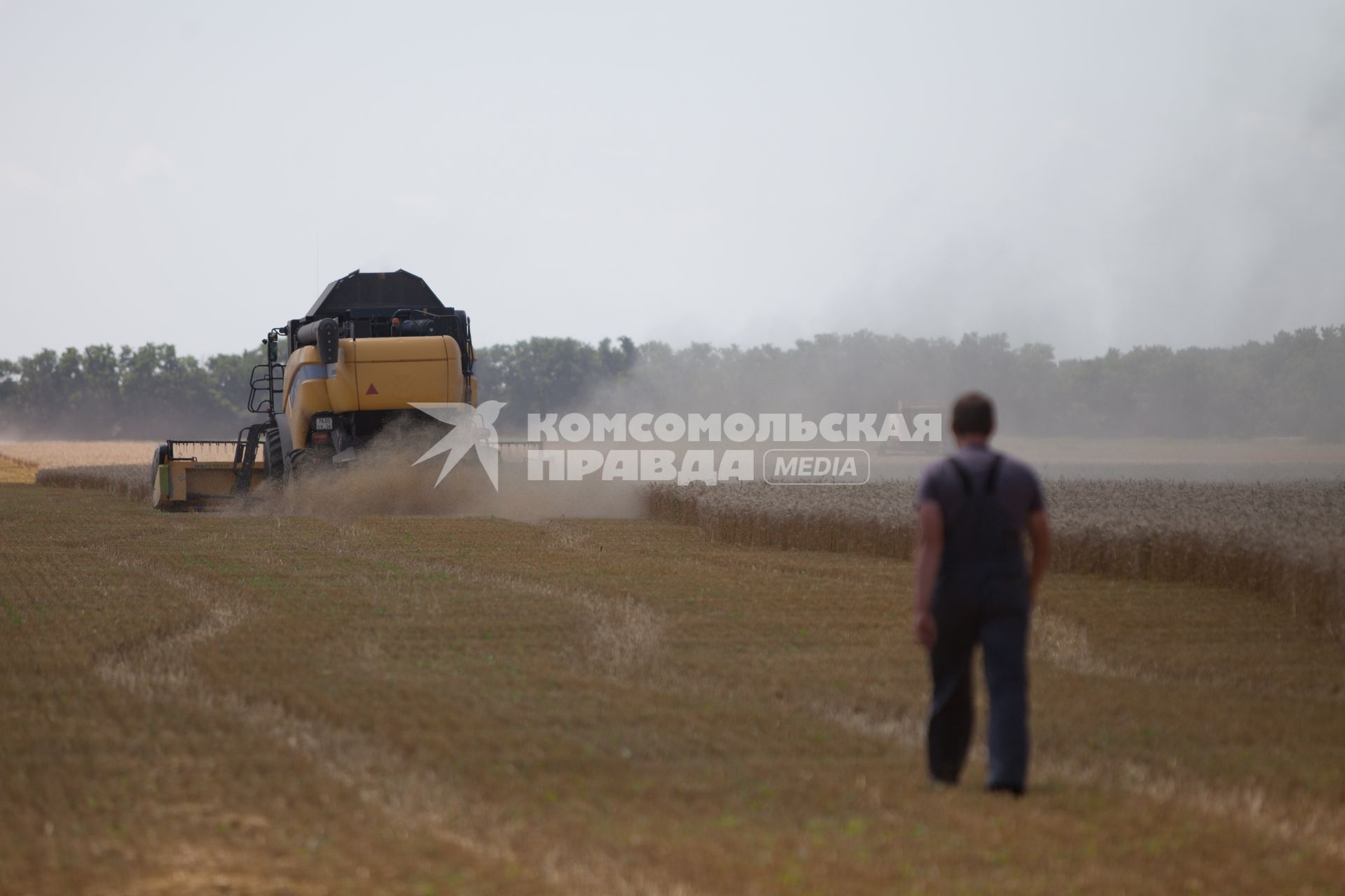 Ставропольский край, село Казьминское. Уборка пшеницы.