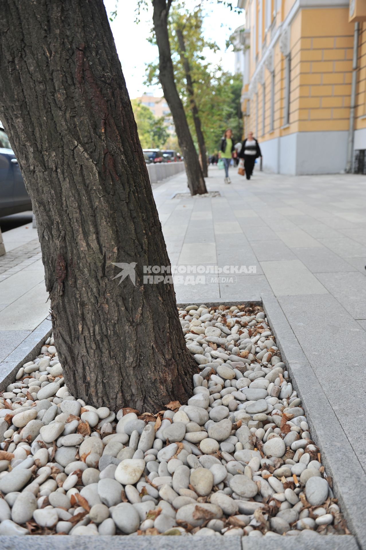 Москва. Деревья на улице Усачева.