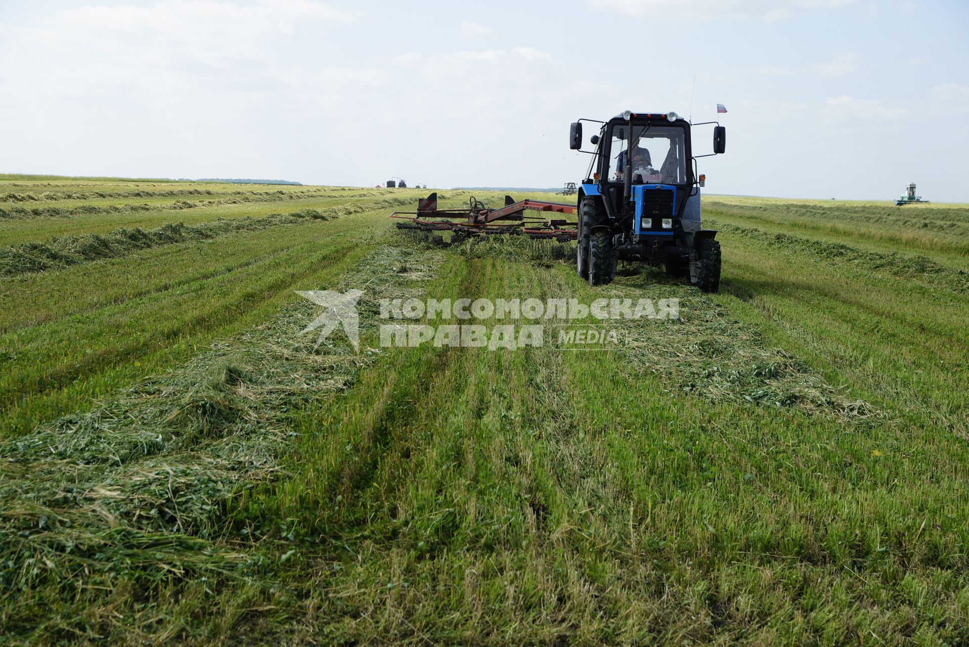 Сбор кормовых культур на поле в селе Клевакинское, Свердловской области.