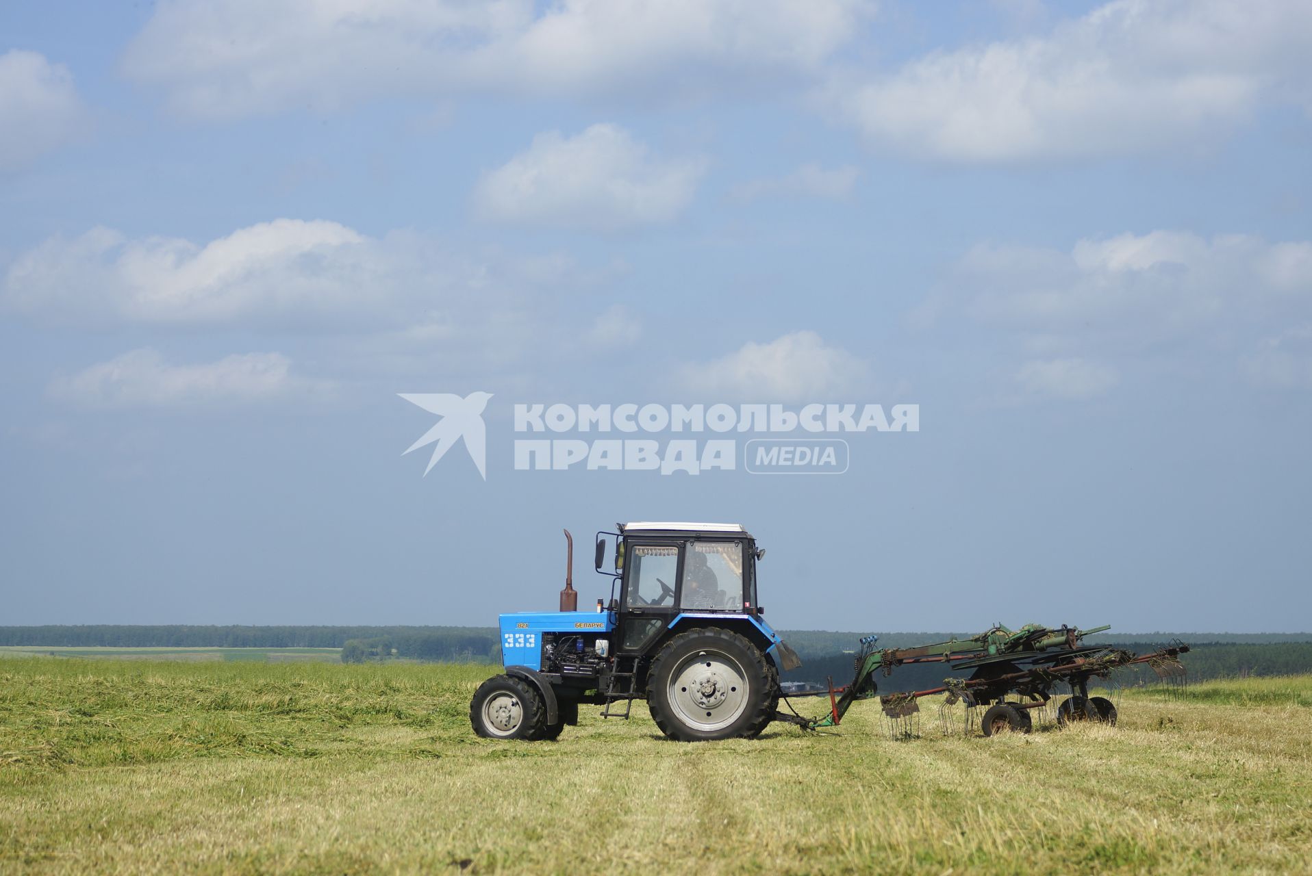 Сбор кормовых культур на поле в селе Клевакинское, Свердловской области.