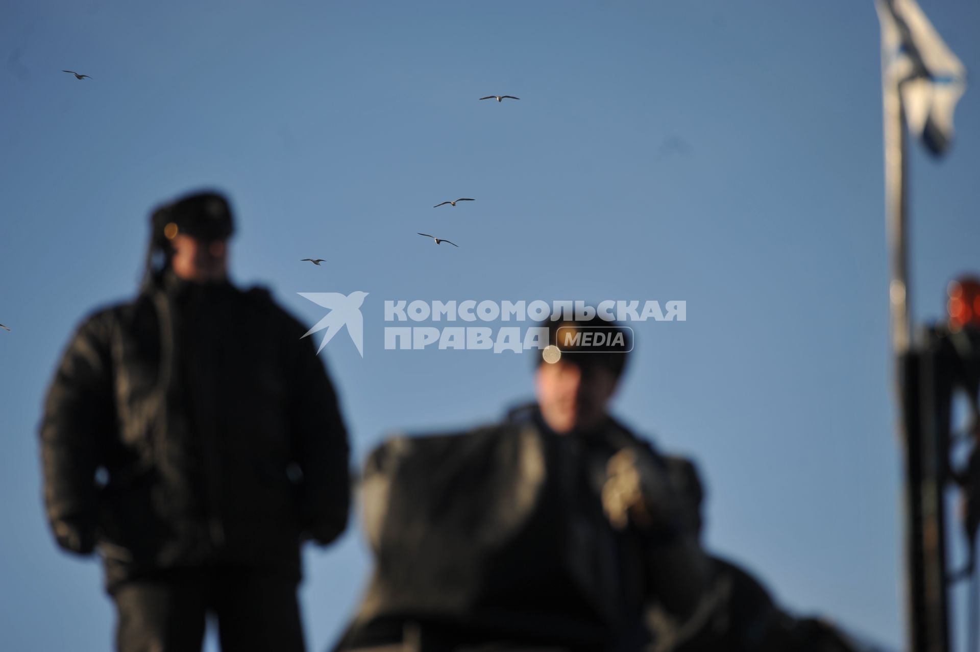 Североморск. Военно-морская база Северного флота России. Чайки.