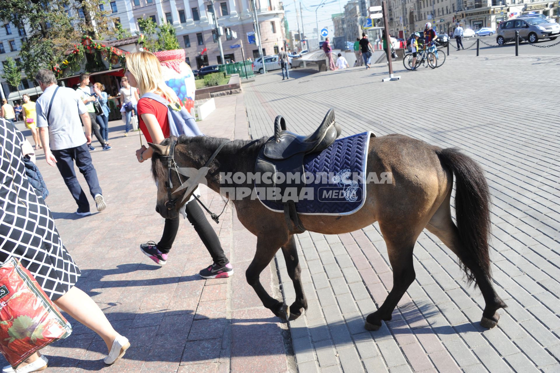 Москва.  Девушка с лошадью во время  фестиваля `Московское лето. Фестиваль варенья` .