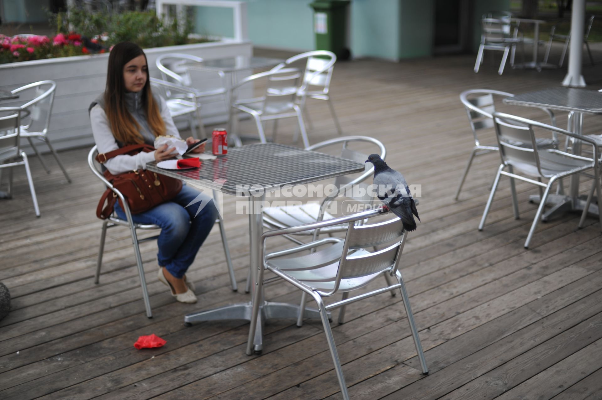 Москва. Голубь смотрит на девушку, которая  сидит  за столиками в летнем кафе  на ВДНХ.