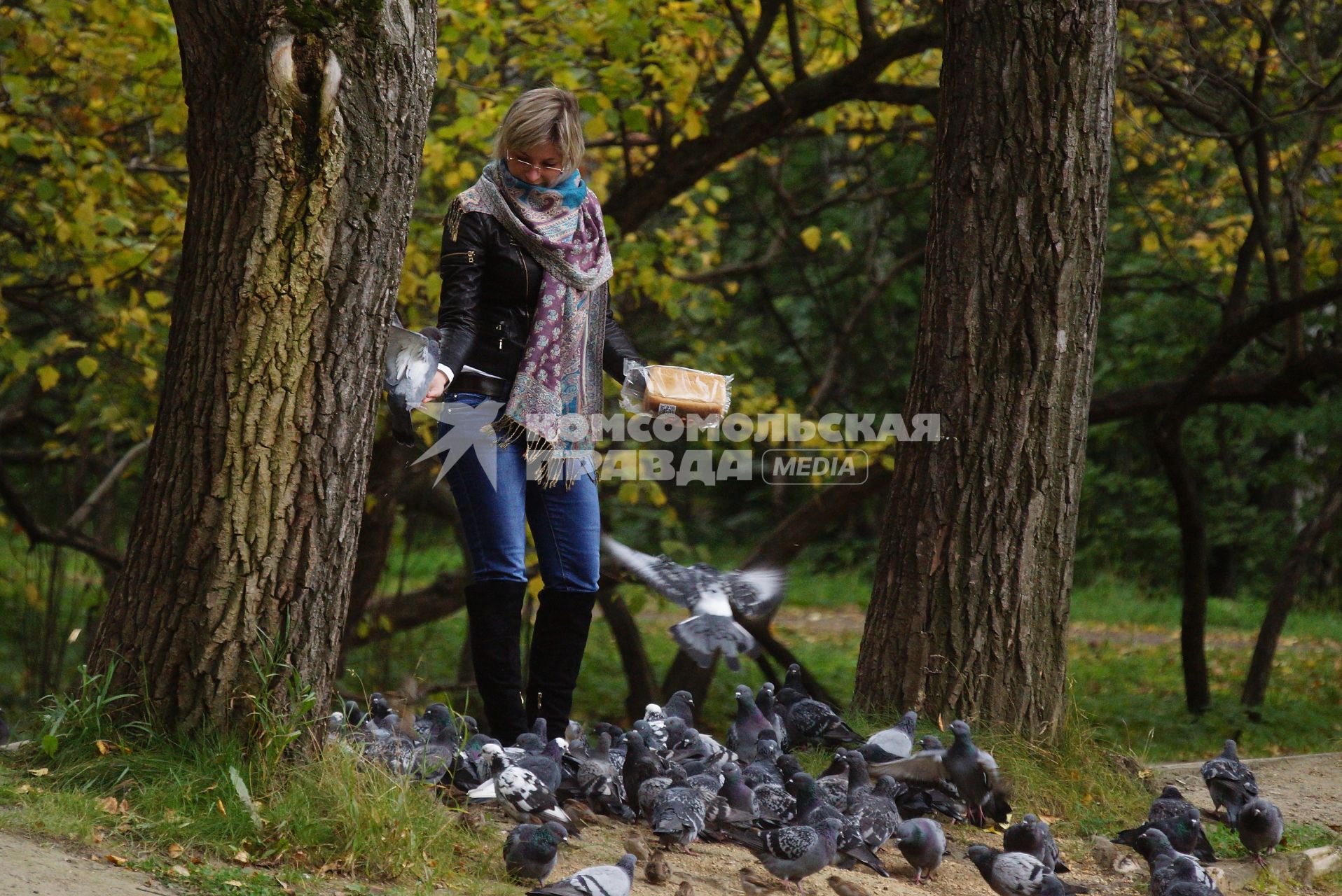 Екатеринбург. Девушка кормит птиц хлебом в Харитоновском парке.