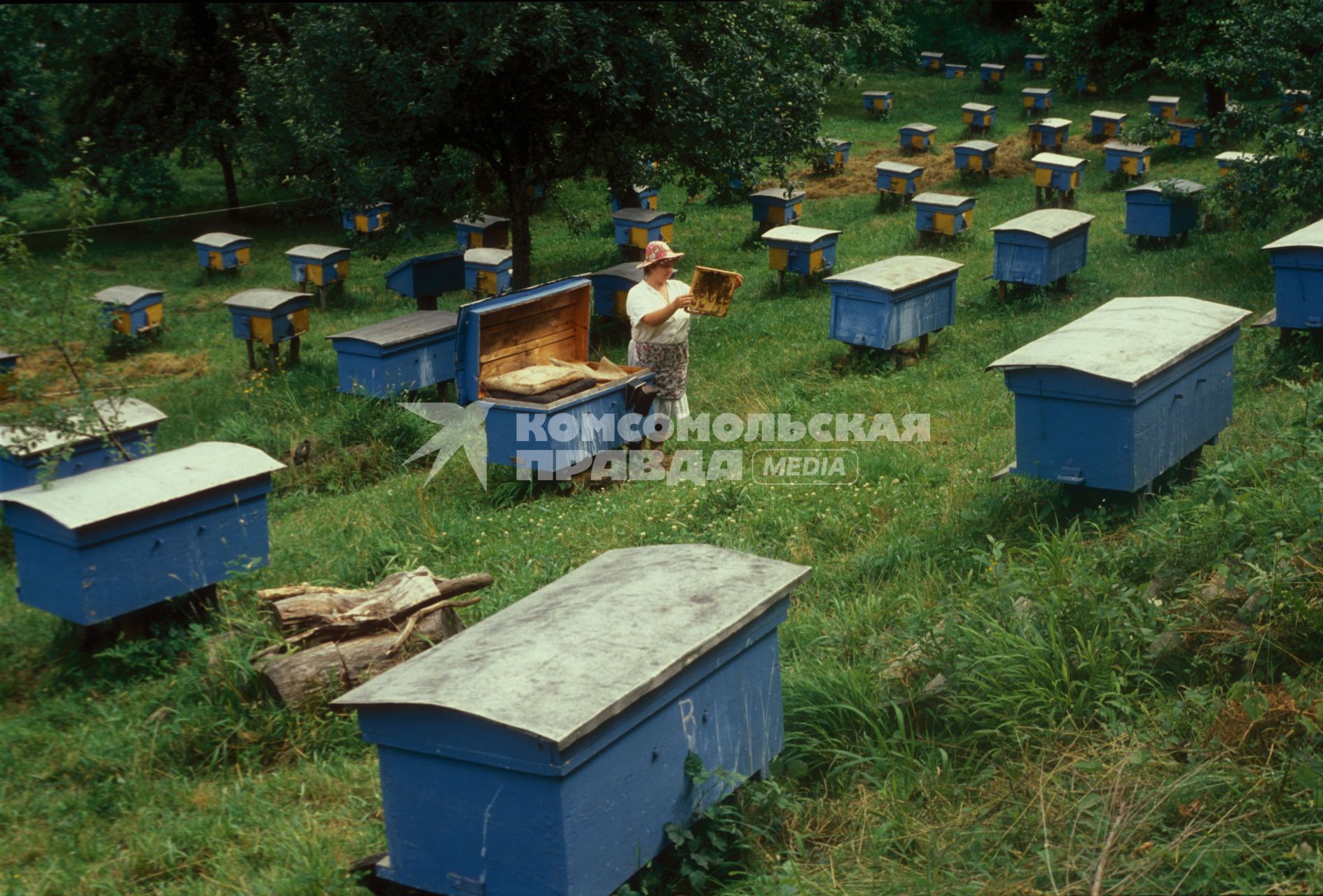 Сочи. Красная поляна. 90-ые. Селение `Эсто-садок`.