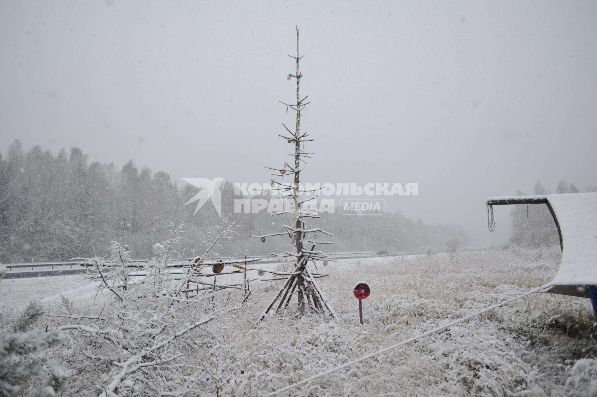 Владимирская область. Дерево украшенное CD дисками рядом с землянкой  отшельника  Юрия, живущего  на 106-м километре  Ярославского шоссе.