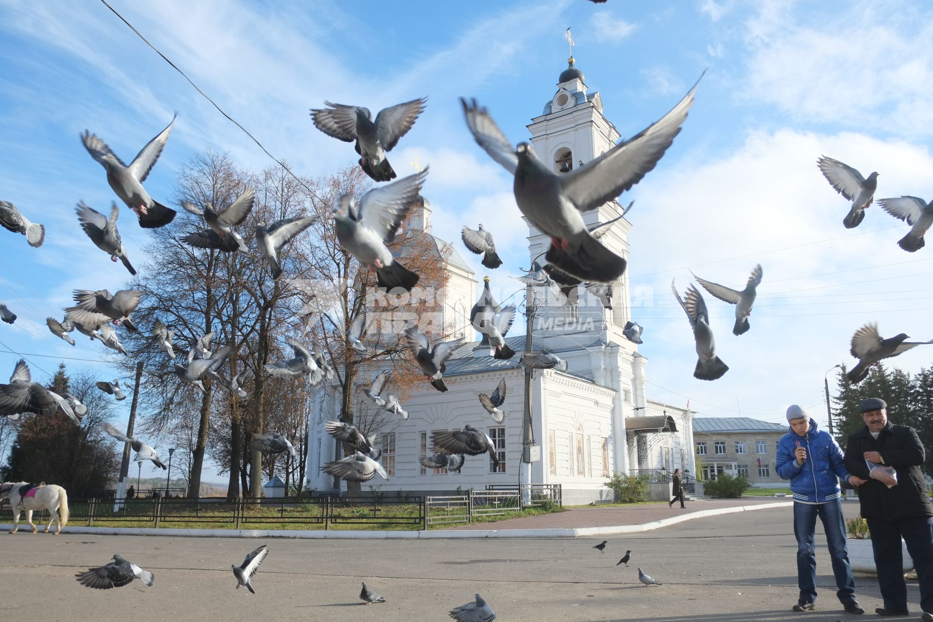 г.Таруса. Собор Петра и Павла.